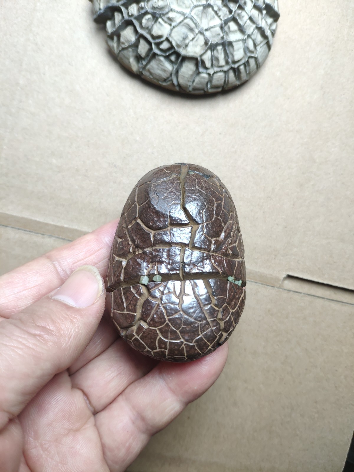 182g beautiful tortoise back pattern stone Turtle grain stone Landscape stone