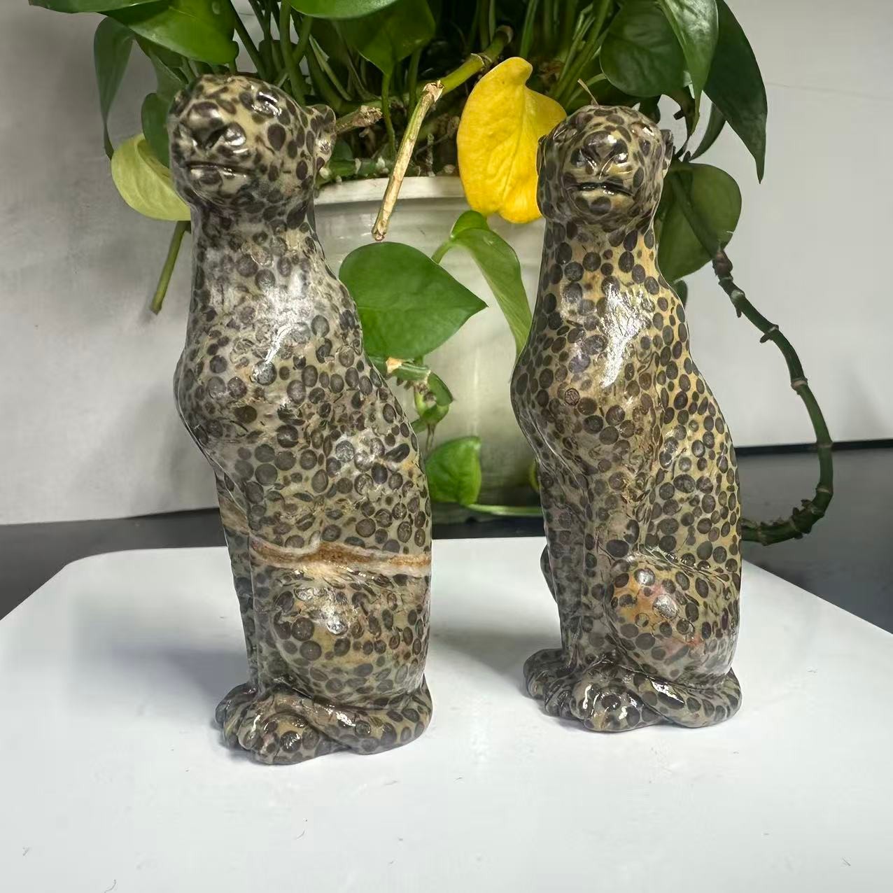 1pc Natural Money Leopard Stone Quartz Carved Leopard Skull Crystal Reiki Decor