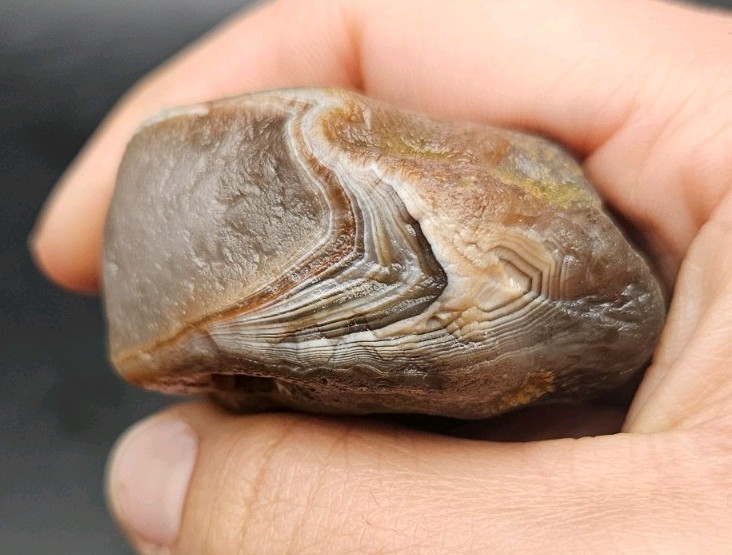 Lake Superior Agate Brown, Red And White Bander Nodule 3.21 OZ