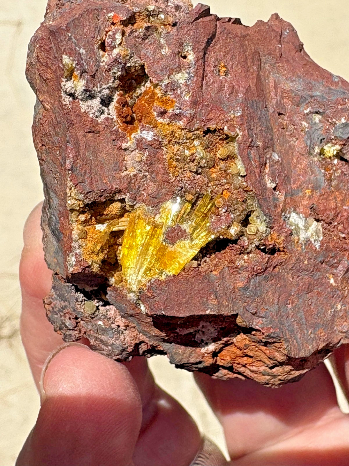 Legrandite crystal spray in matrix, Ojuela mine, Mapimi, Durango, Mexico