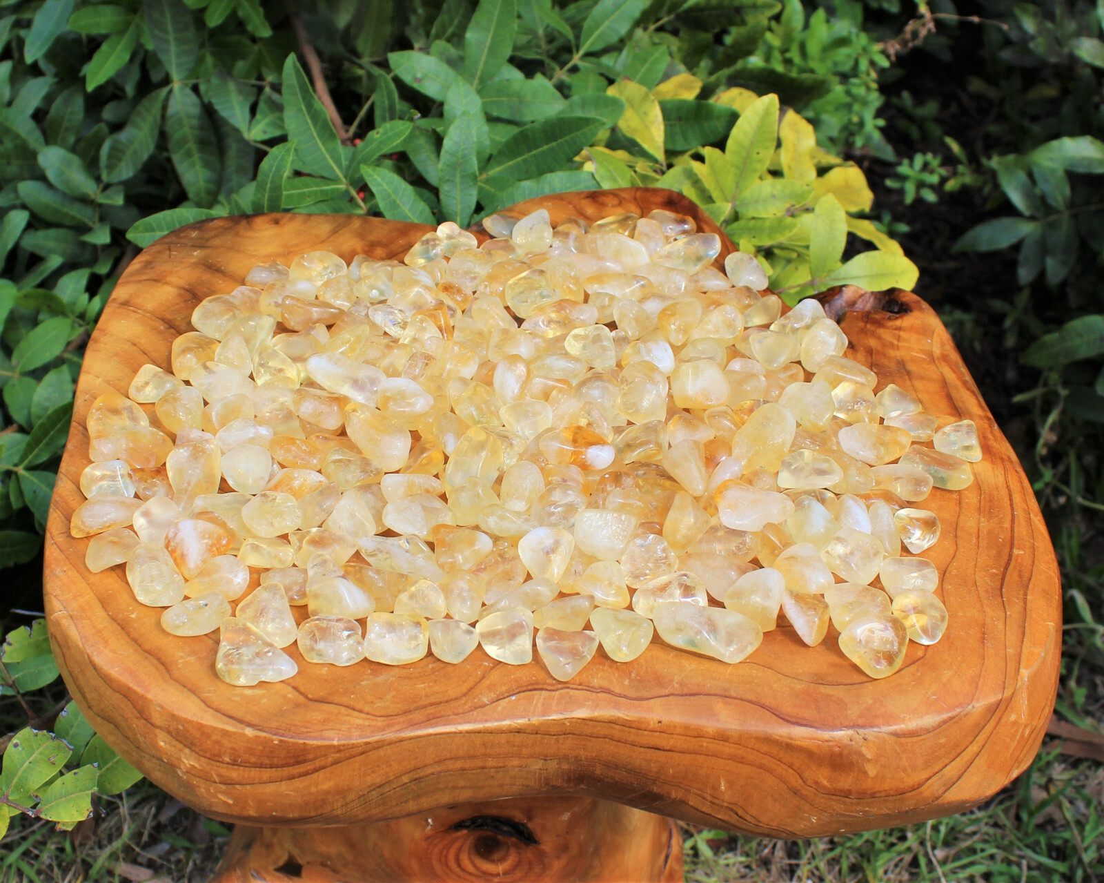 5 lb Bulk Citrine Tumbled Stones: A Grade (Crystal Healing, Chakra)
