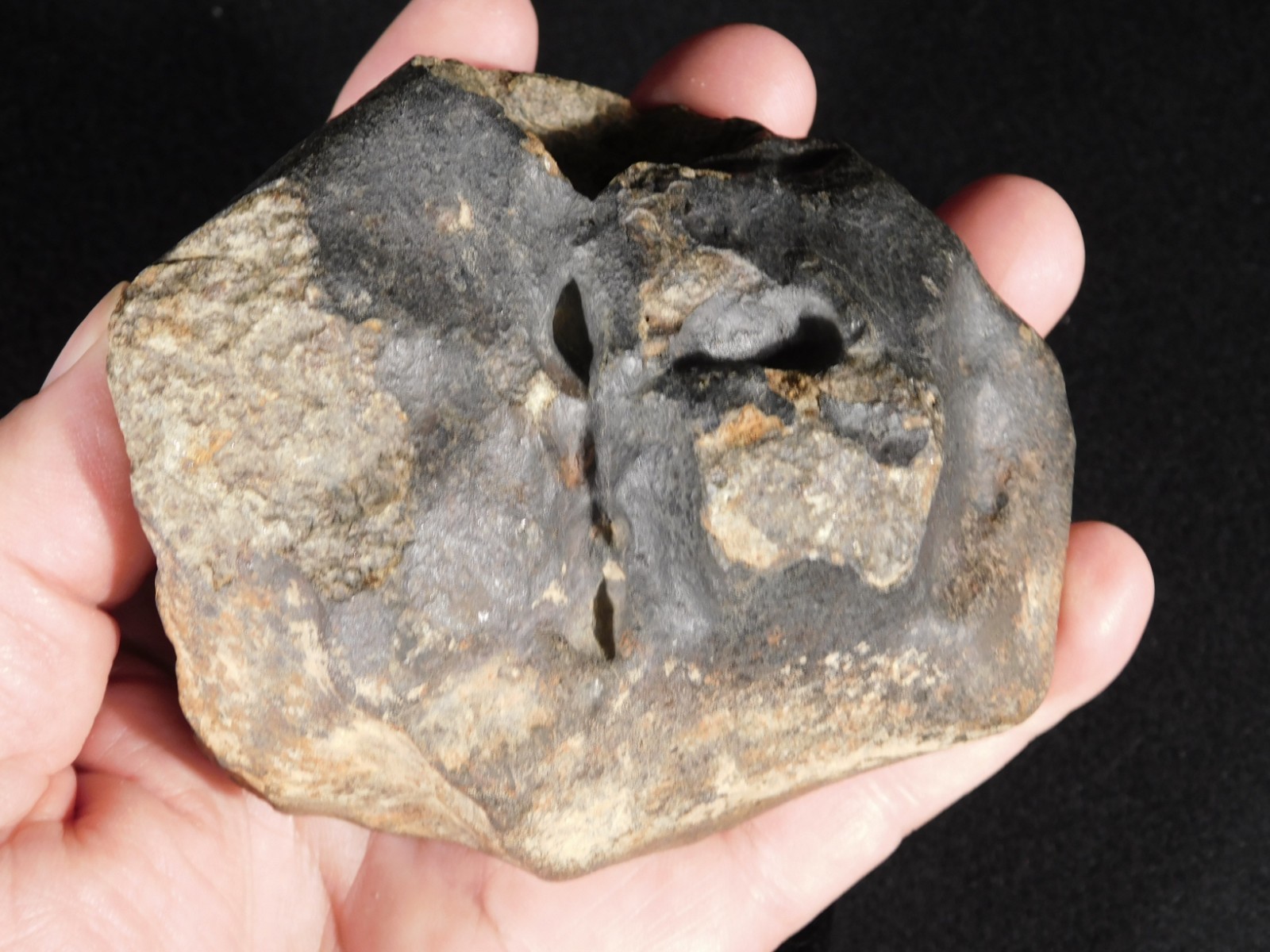 Big! N.W.A 869 Stony METEORITE with Dark Fusion Crust and DEEP REGMAGLYPTS 880gr