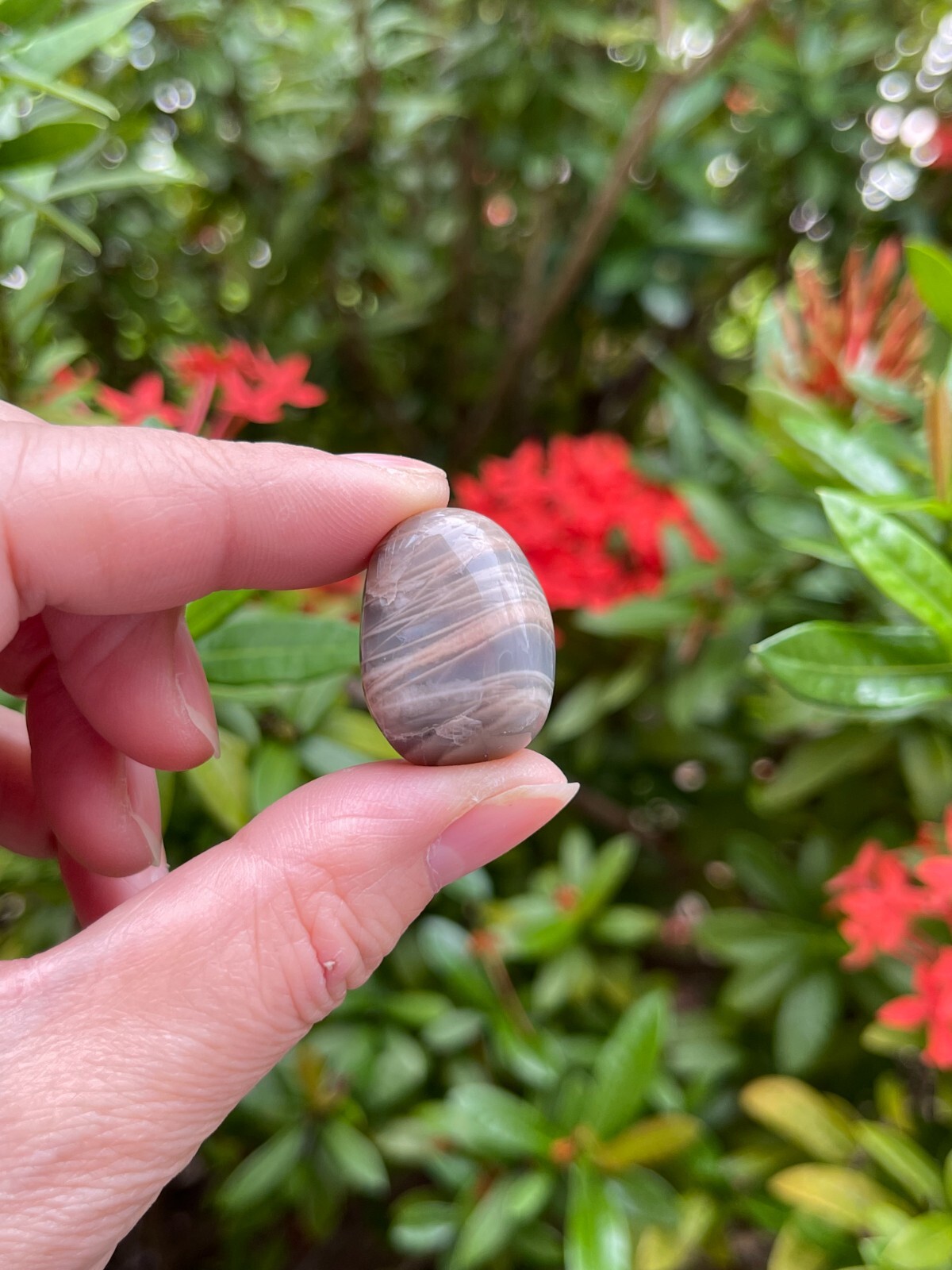 Grade A++ Moonstone Multi Tumbled Stones, 0.75-1″ Tumbled Multicolored Moonstone