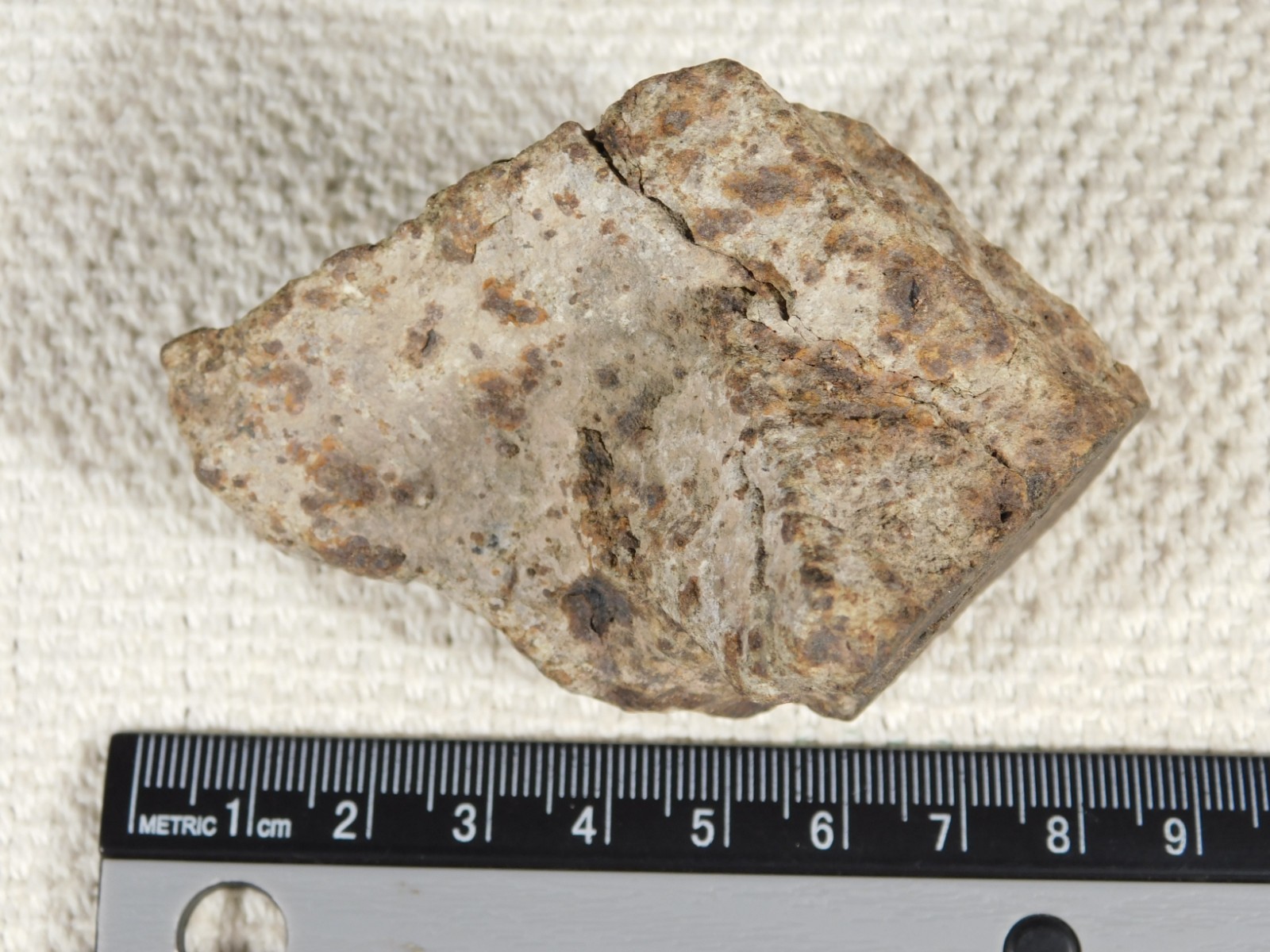 Larger! Classified NWA 8245 METEORITE 100% Natural! Erfoud, Morocco 223gr