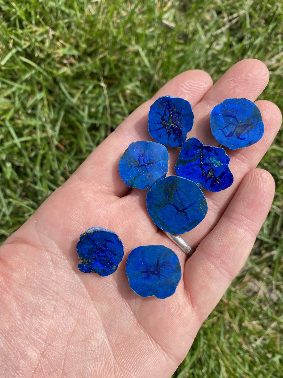 Azurite & Malachite Blueberry (Half Polished) from Poteryaevskoe Mine, Siberia