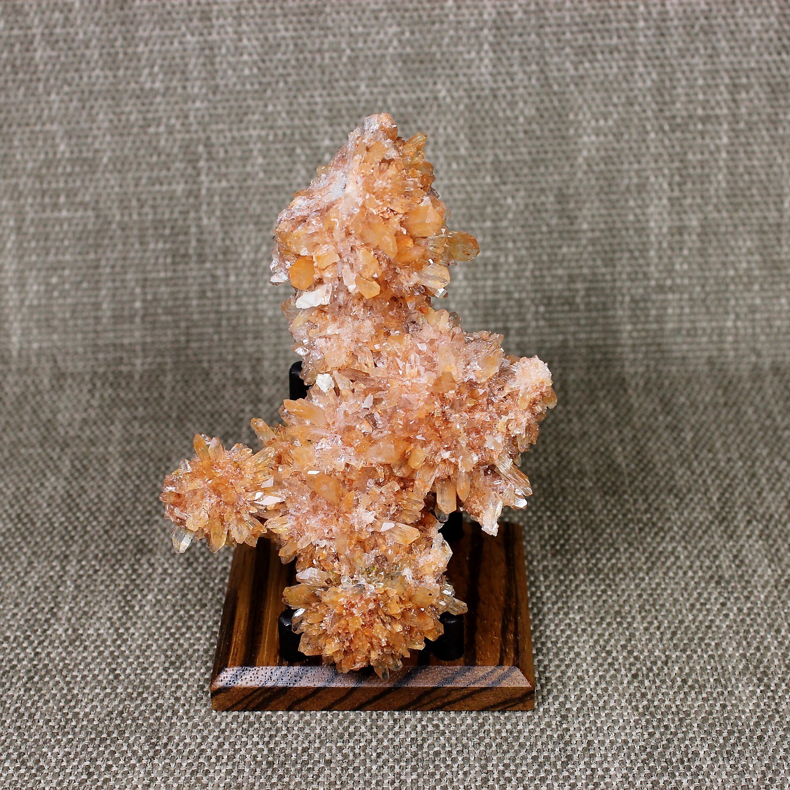 (2) EXOTIC ZEBRAWOOD MINERAL DISPLAY STANDS FOR A MUSEUM QUALITY DISPLAY !!