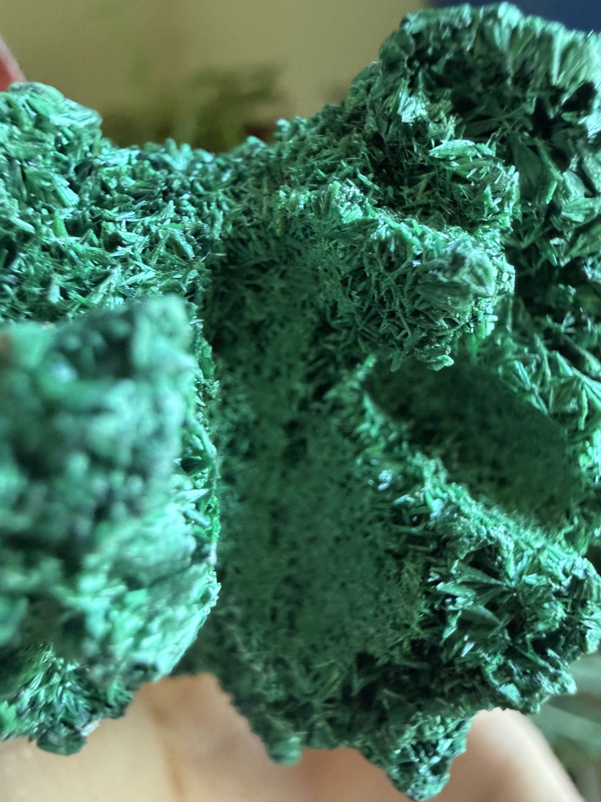 Malachite Crystal Specimen (Floating, No Matrix) – 5.68 oz