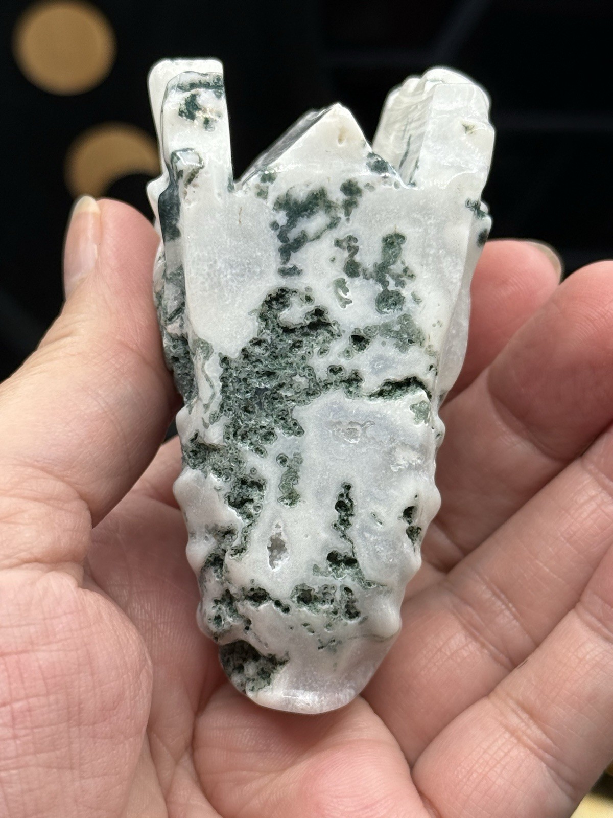 Natural Tree Agate Dragon Head Skull Good size Great price Free ship & gift