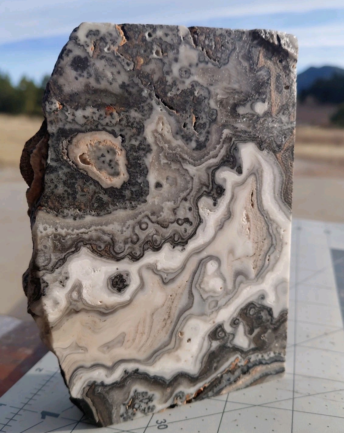 Zebra Calcite Crystal Reiki 1 1/4 Lb Sculpture Dendritic Lace 5 1/4″ X 3 1/4″