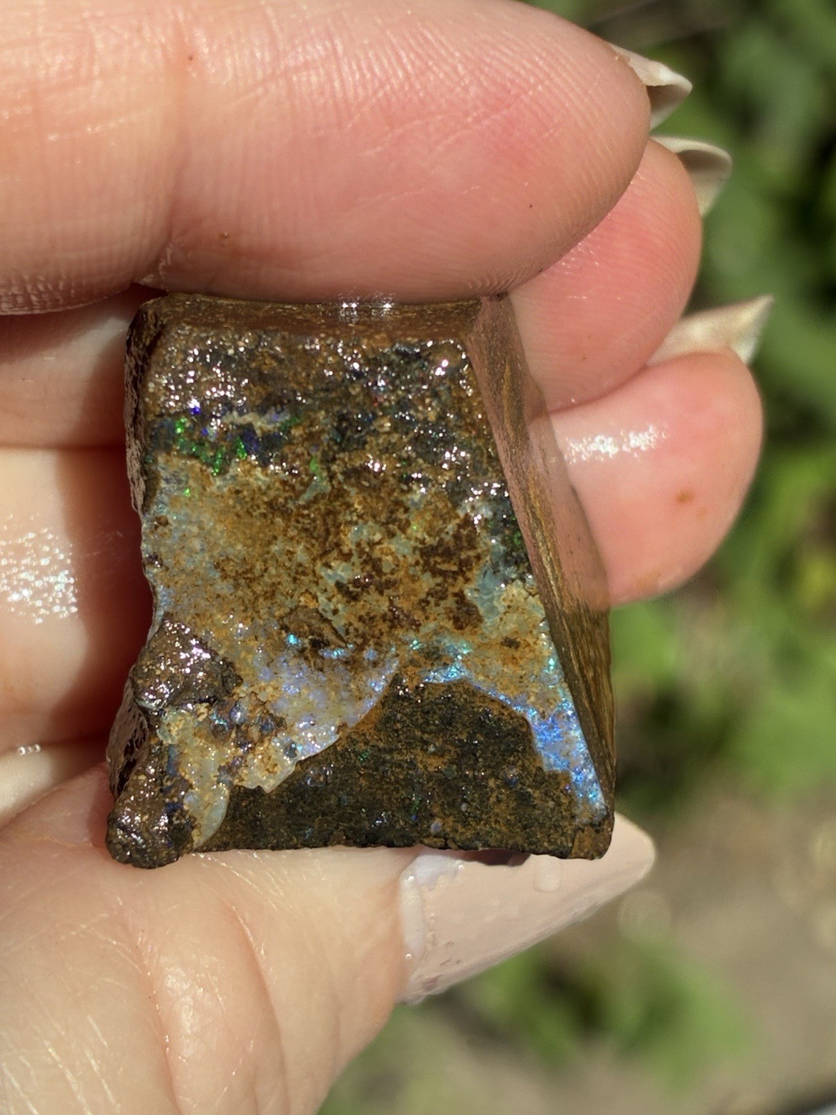 71ct Australian Boulder Opal Rough Loose Multicolor Specimen S