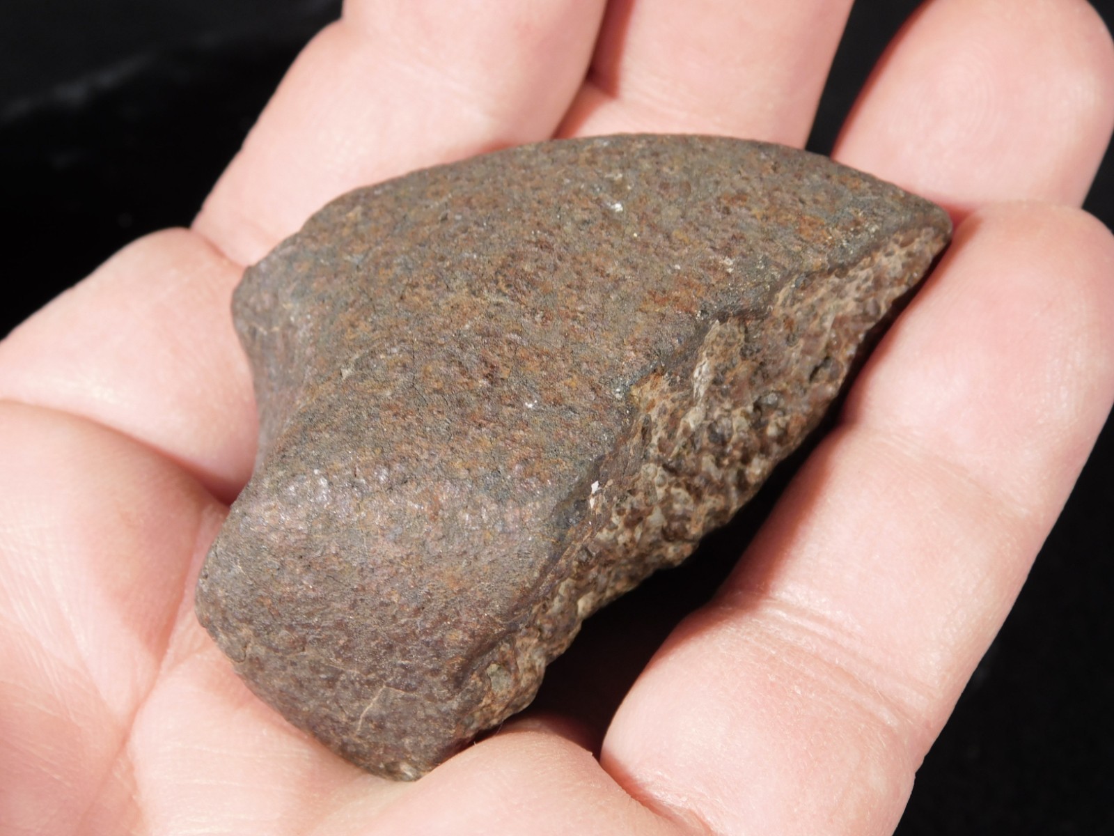 Stony N.W.A. METEORITE 100% Natural FELL in Libya 98.4gr