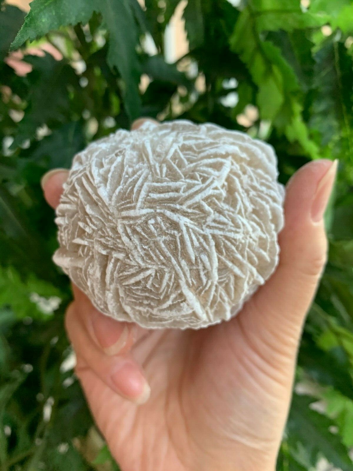 Extra Large Desert Rose Selenite, 1.5-4 Inches Desert Gypsum Rose, Pick a Size