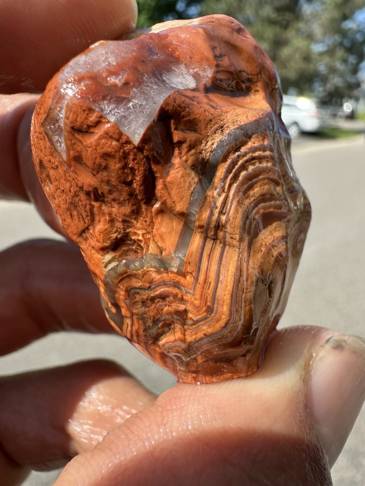 1.45 oz Lake Superior Agate Rare Chalky Opaque Fire Canyon Paint Agate (DEAL)
