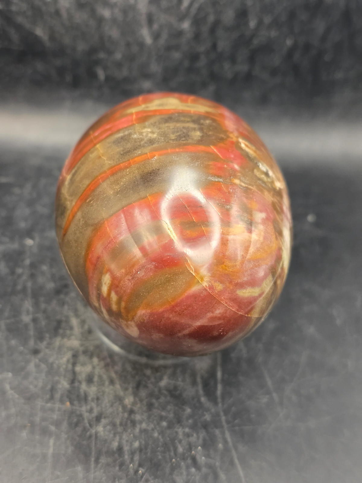 Petrified wood egg! 1.1 pounds, 3.4 inches tall, 2.5 wide