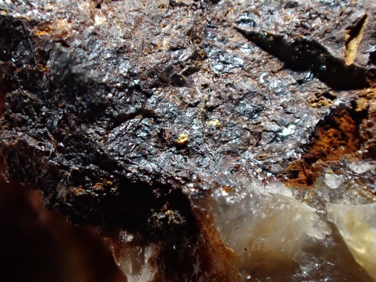 Native Gold on Limonite & Pyrite Capps Mine Mecklenburg Co North Carolina