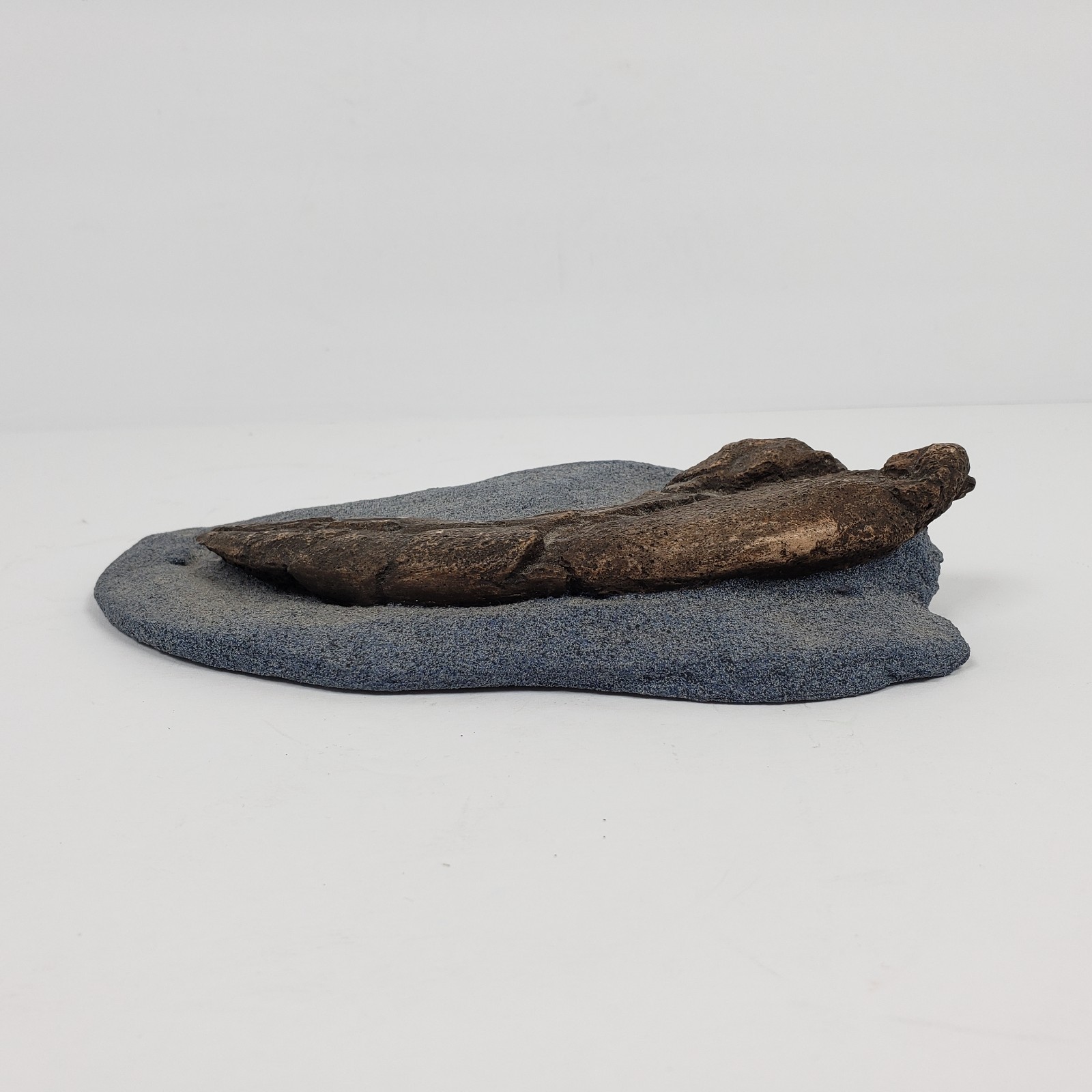 Unbranded Home Decor Copy Of a Fossilized Claw