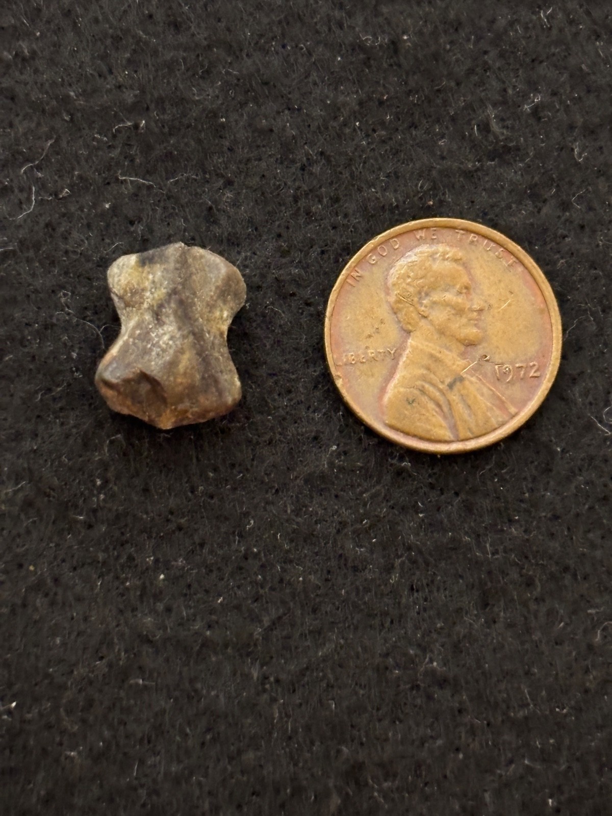 12 Natural Staurolite Fairy Cross Crystals Fannin County Georgia Mineral Lot