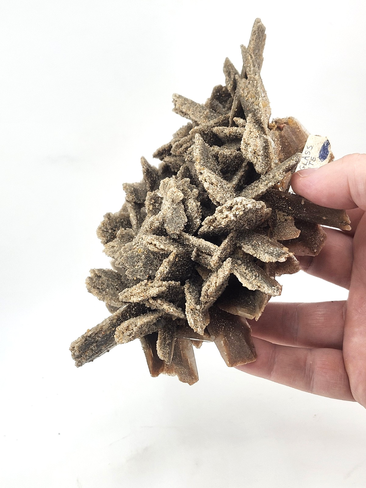Hourglass Selenite Gypsum Crystal Cluster Oklahoma Old Stock 410 Grams