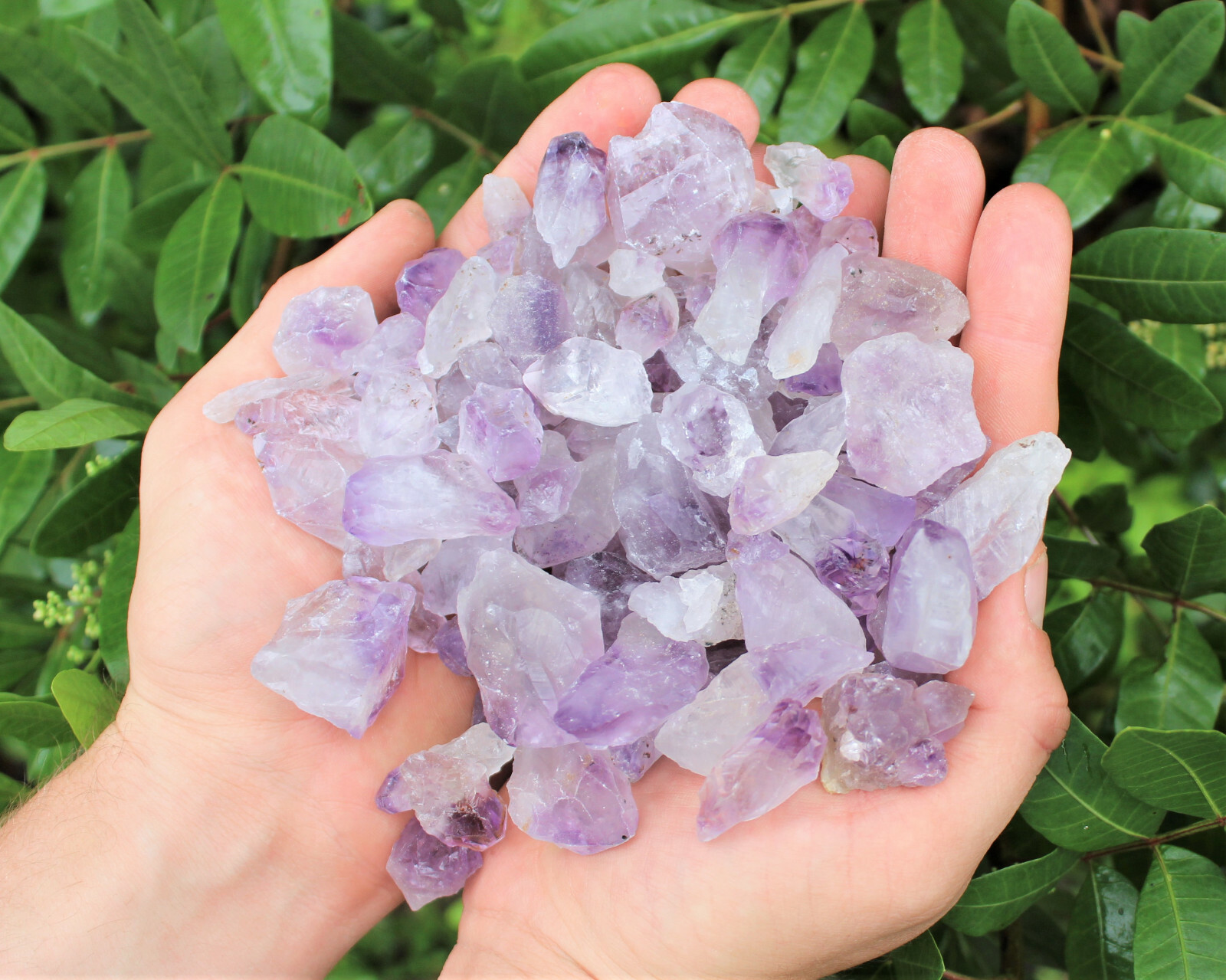 Wholesale CLEARANCE Amethyst Crystal Points, 5 lb HUGE Lot Natural Rough Quartz