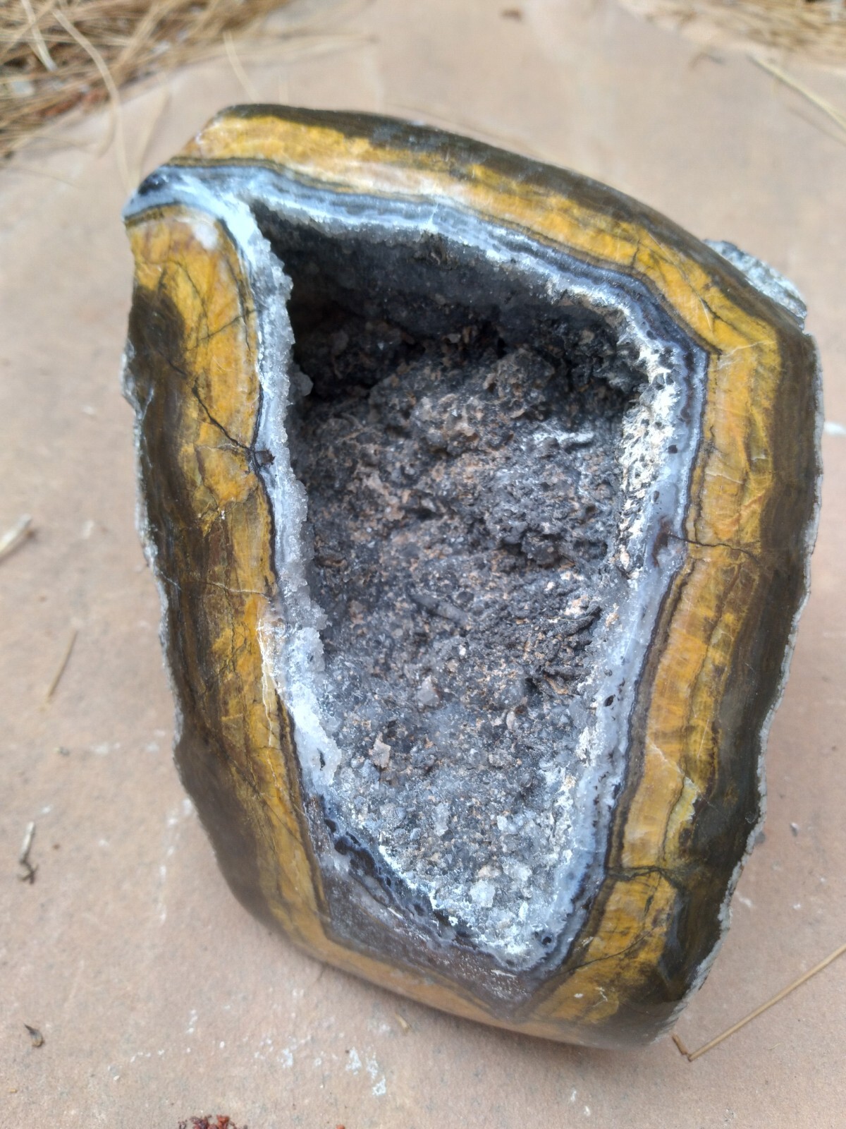 Black And Gold Specimen (New Mexico), 3 lbs & 8 ounces