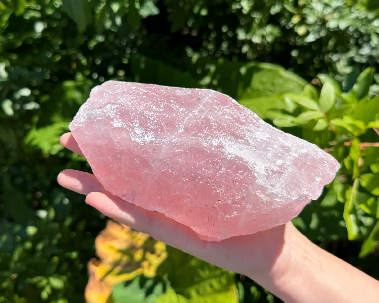JUMBO Rose Quartz Natural Raw Crystals – Choose Size Huge Chunks (Love Stone)
