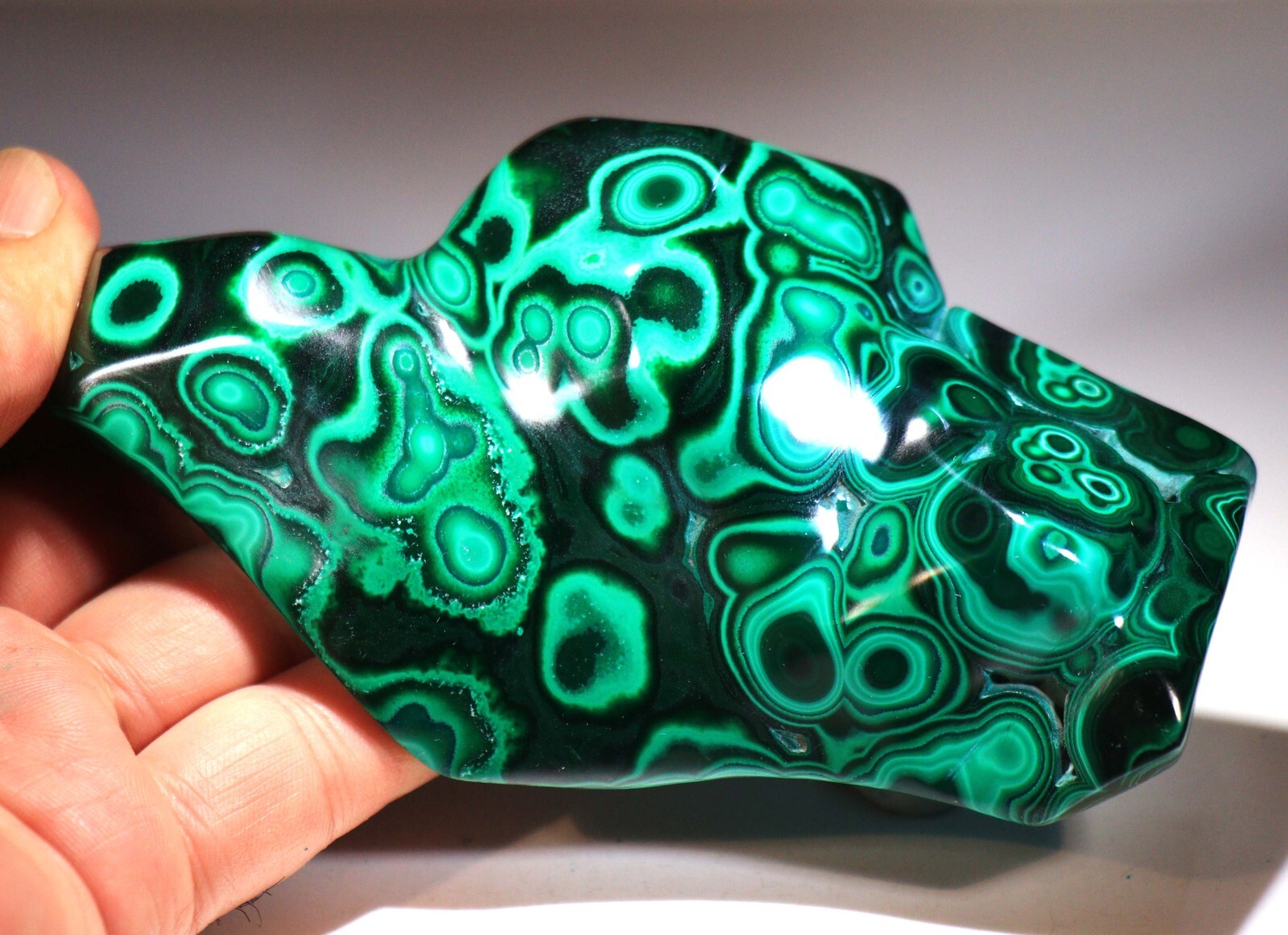 5.25″ Top Quality Vivid Green Malachite w/Blue Chrysocolla , Congo! CR115