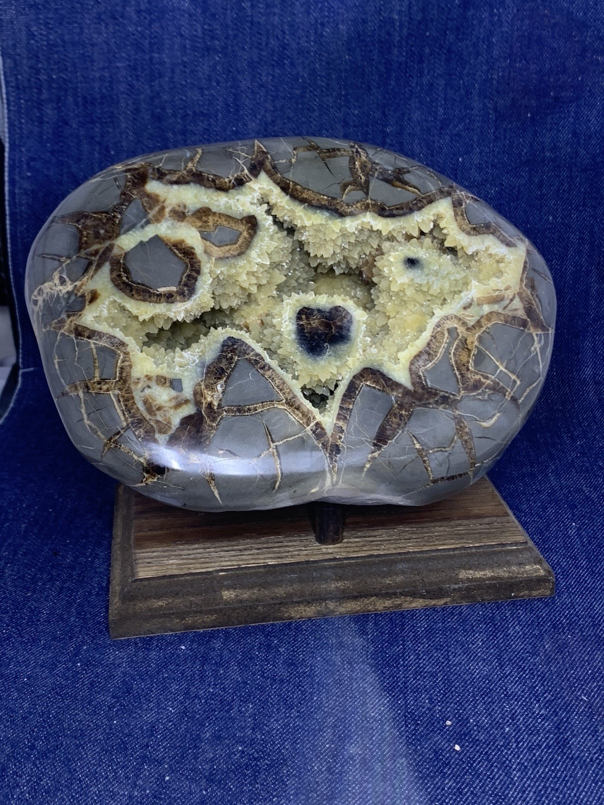 Septarian Nodule Dragon Stone Hollow Half ( Utah) Description Card, And Stand
