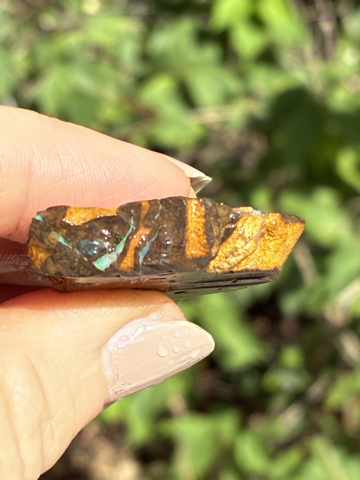 Beautiful 88ct Large Australian Boulder Opal Rough Loose Spider Specimen Green D