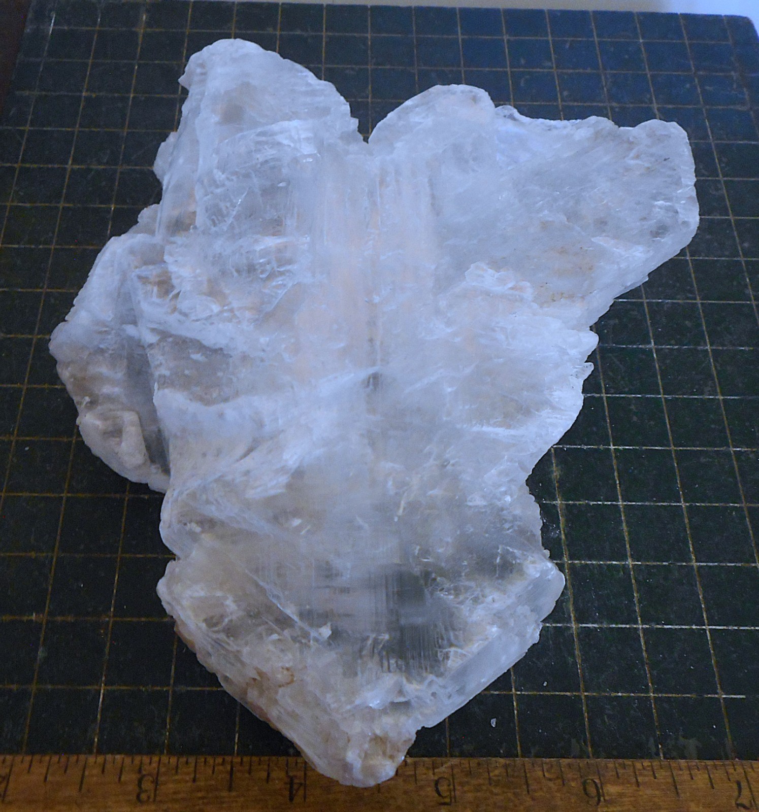 Fish Tail Selenite. Natural. Gypsum Specimen. 6.5″ (165mm). 1 pound 6 ounces