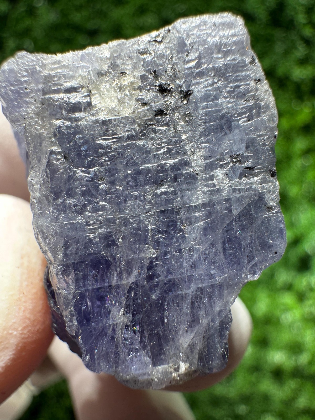 Amazing TANZANITE Crystal with COLOR CHANGE under yellow/white light / N427