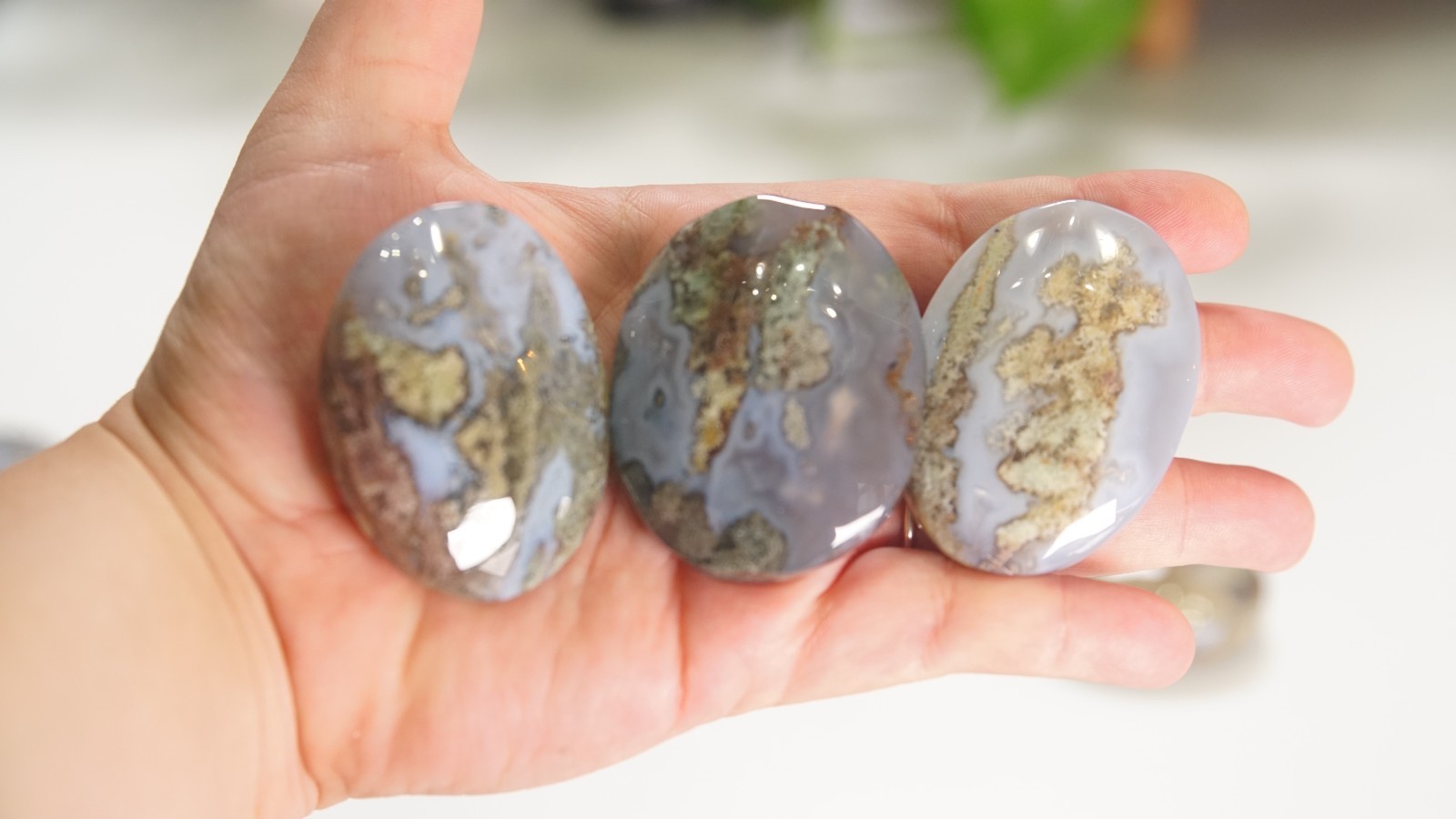 Wholesale Lot 6 PCS Natural Moss Agate Palm Stones | US Seller