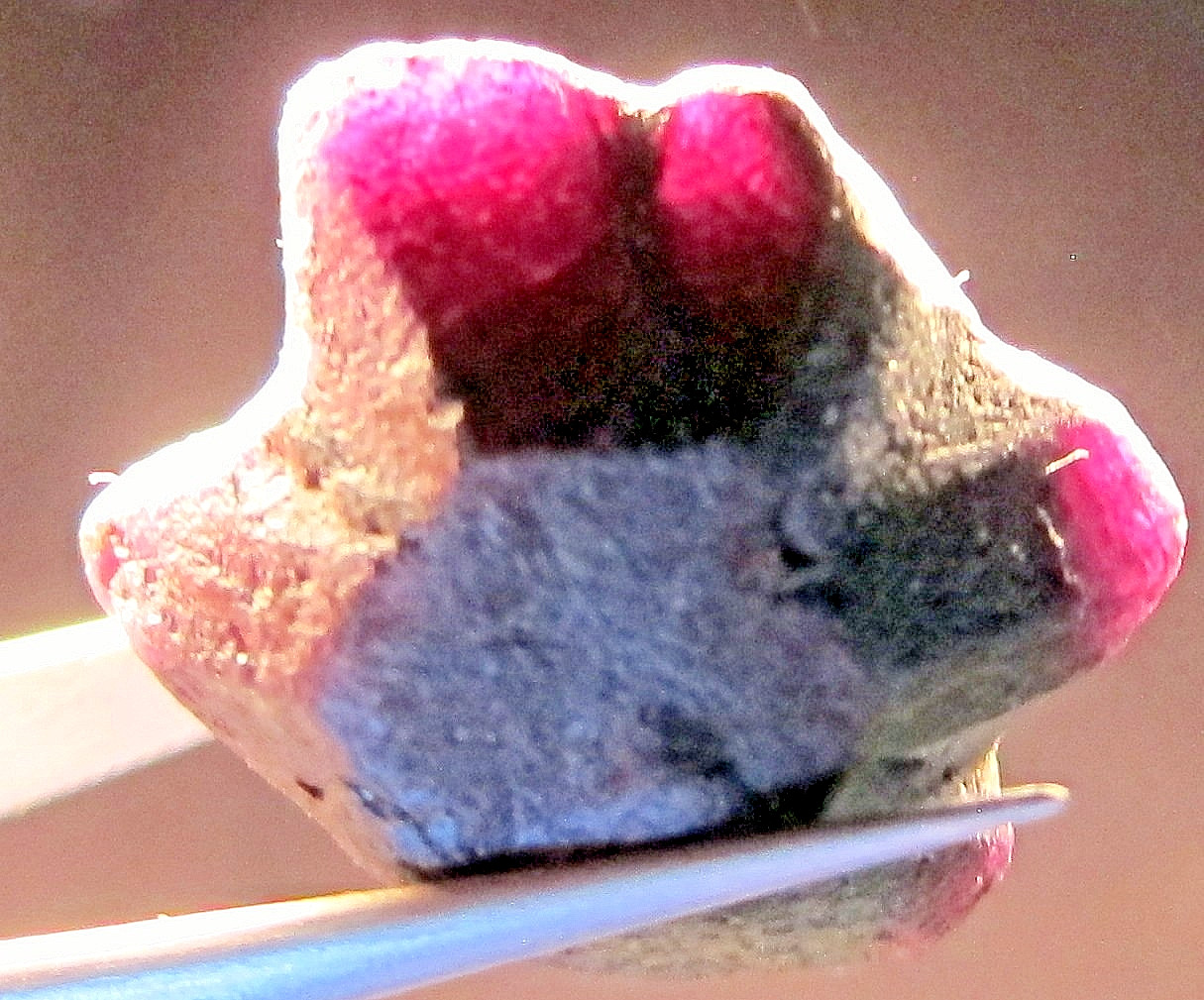 64.2 CT ALEXANDRITE NATURAL ROUGH COLECTOR’S CRYSTAL MINERAL GEM (N1)