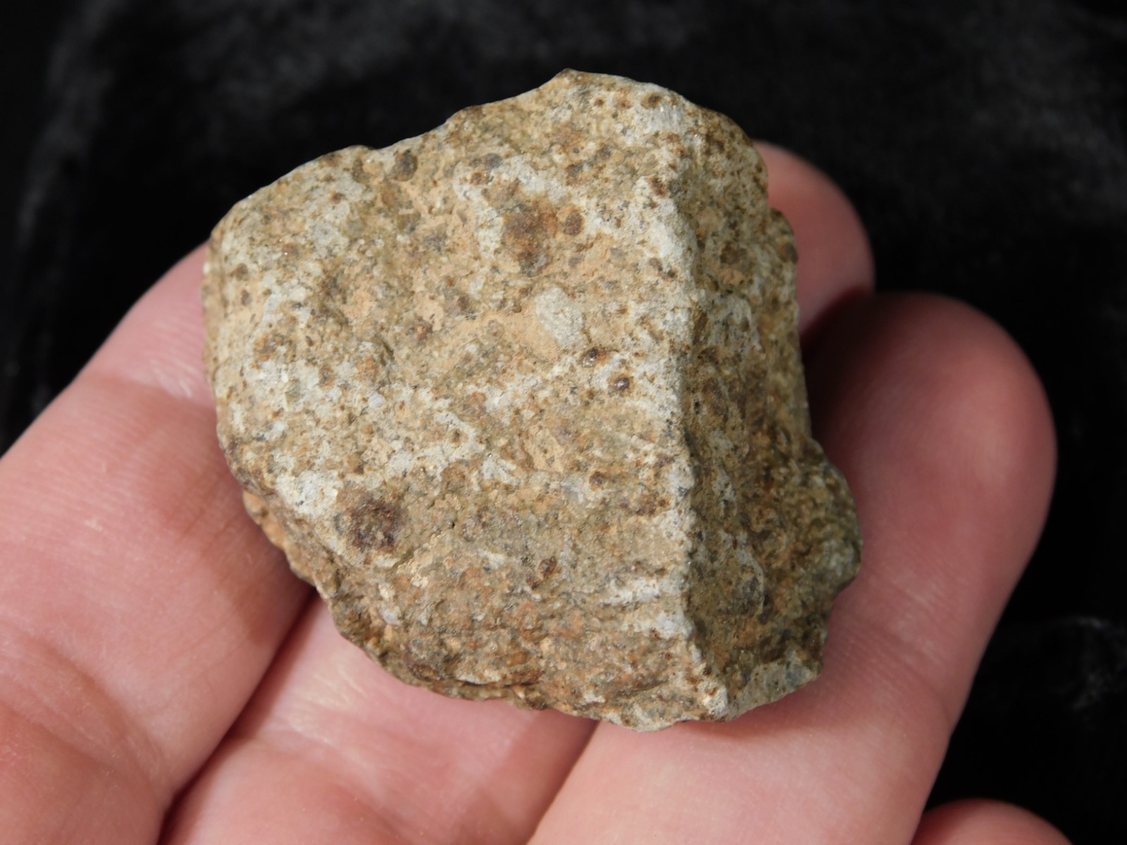 NWA 8245 METEORITE with DARK Fusion Crust & Contraction CRACKS Morocco 36.1gr