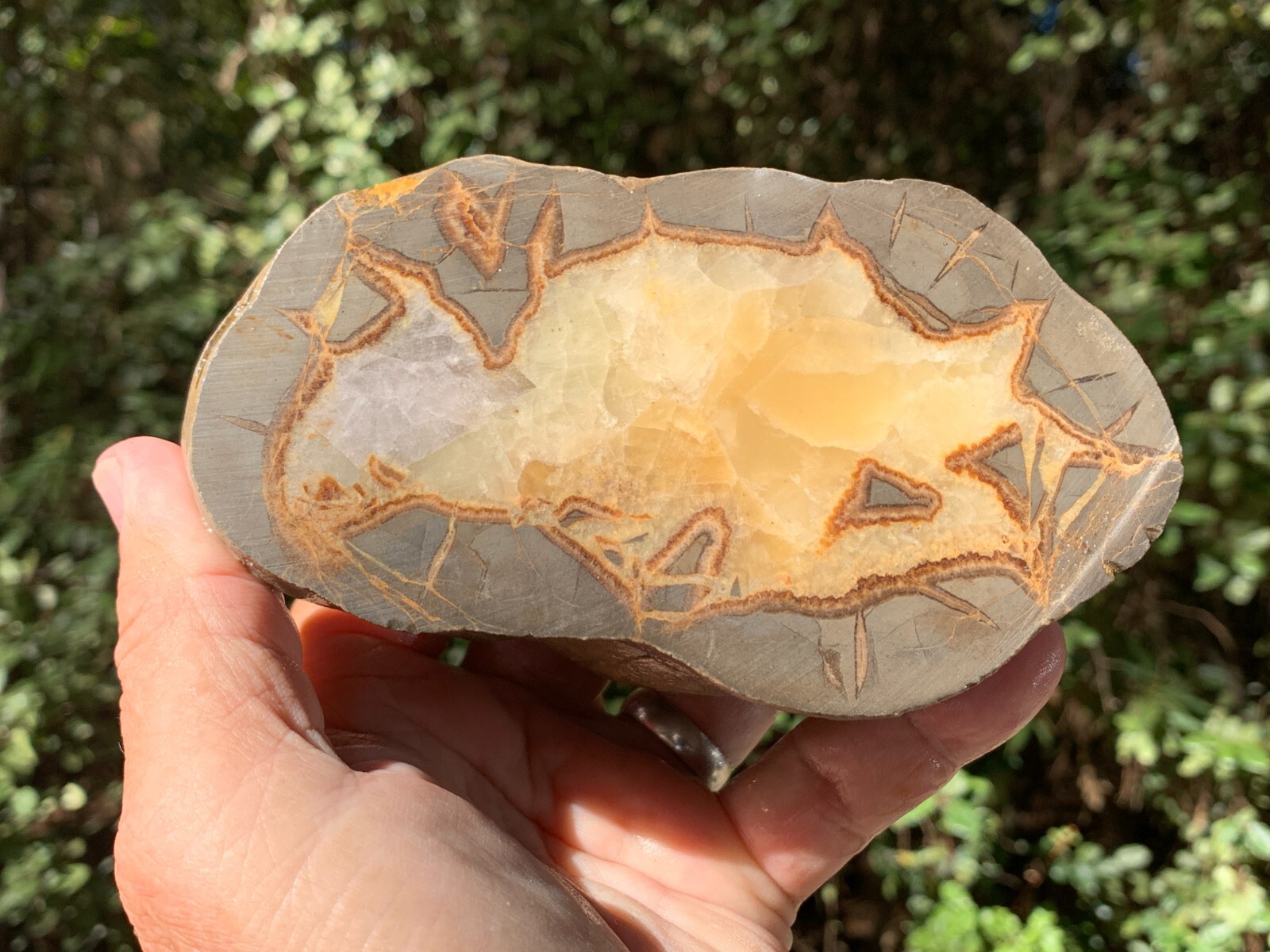 ☆2.7LB (1200Gr) 5.5 Inch Septarian DOUBLE Nodule 1/2 Geode Mineral from Utah☆724