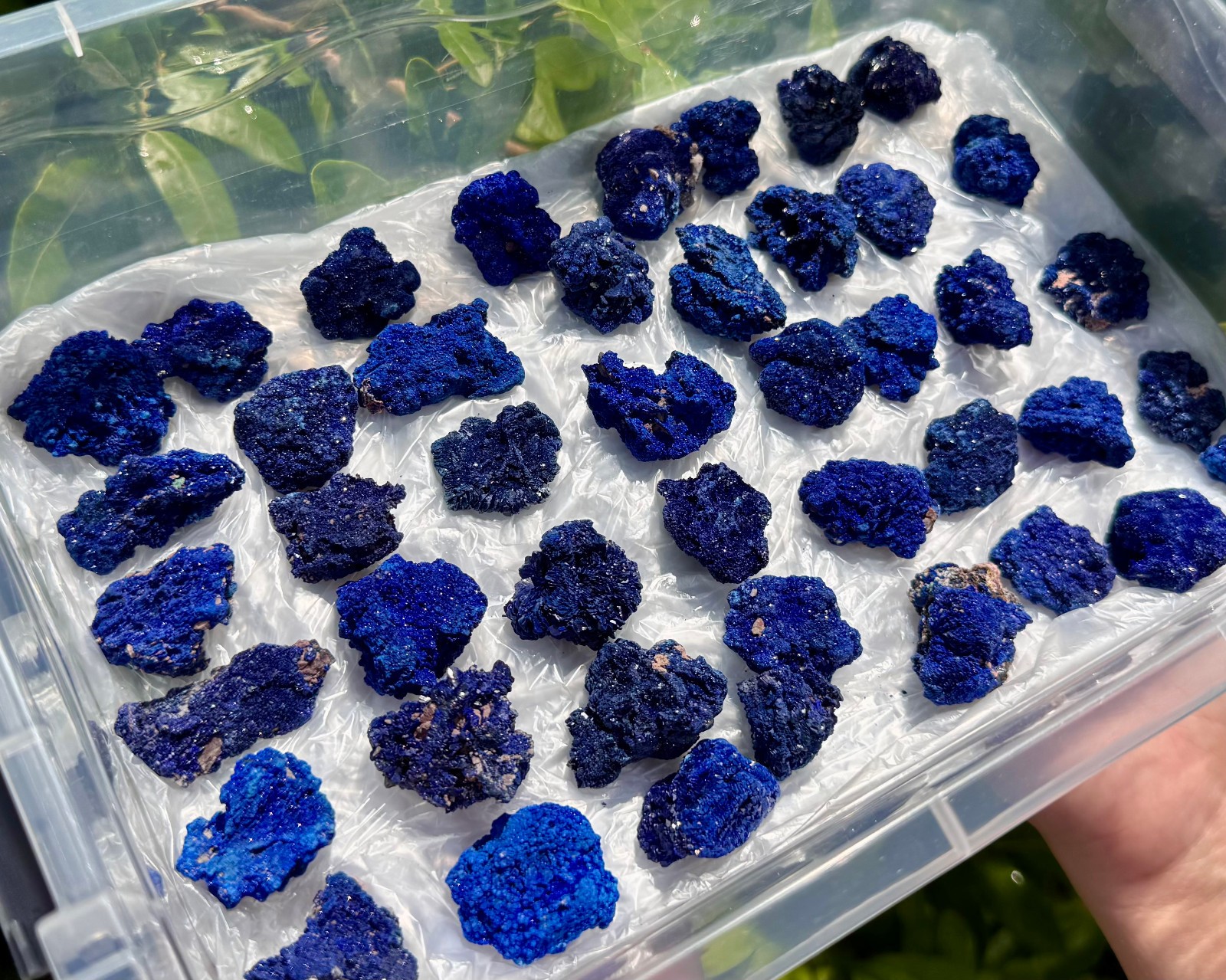 Vibrant Blue Azurite Crystal Clusters – ‘AAA’ Grade Natural Raw Azurite Minerals