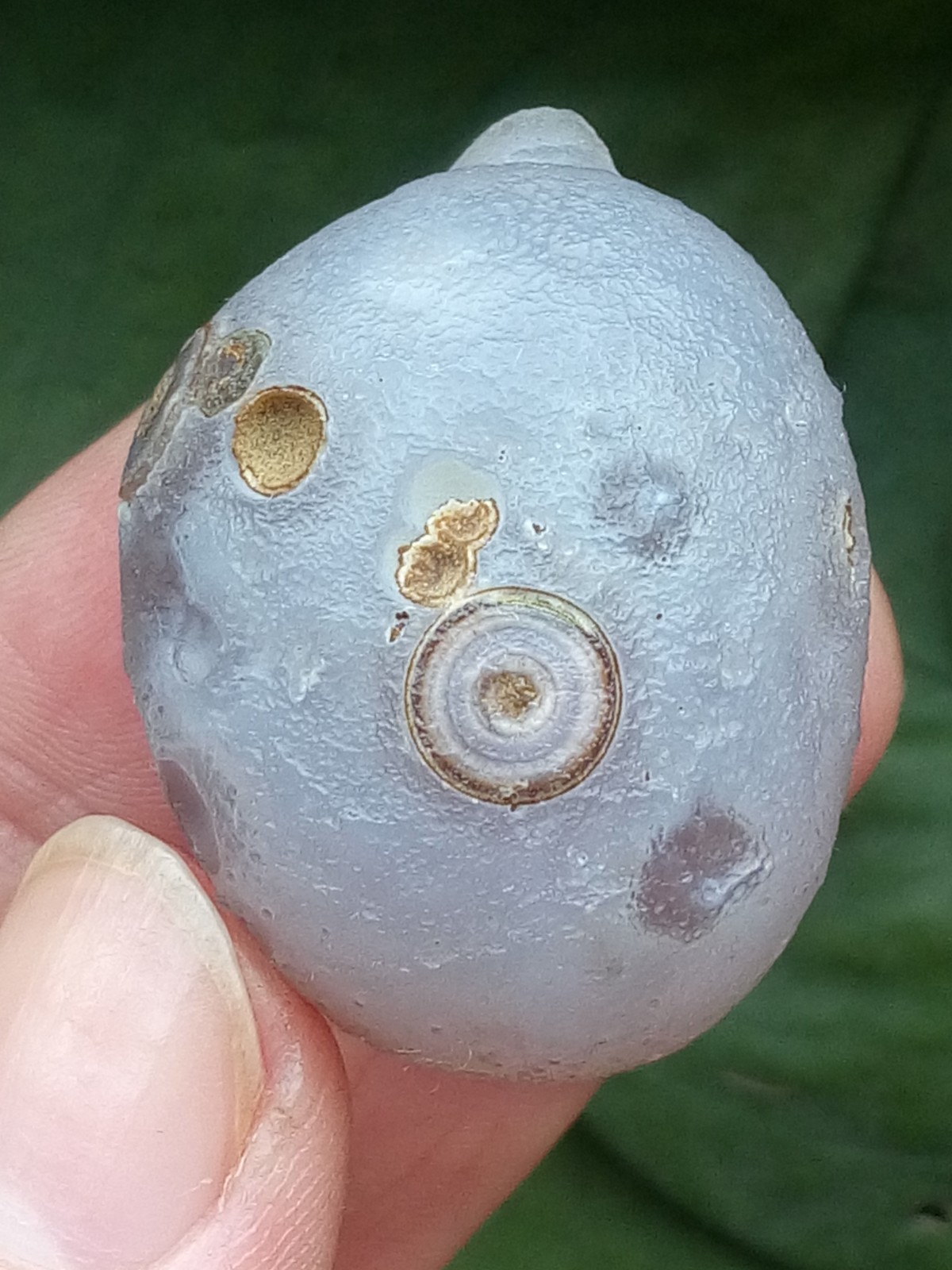 36mm Beautiful Natural agate Gobi agate eye agate stone cute collection
