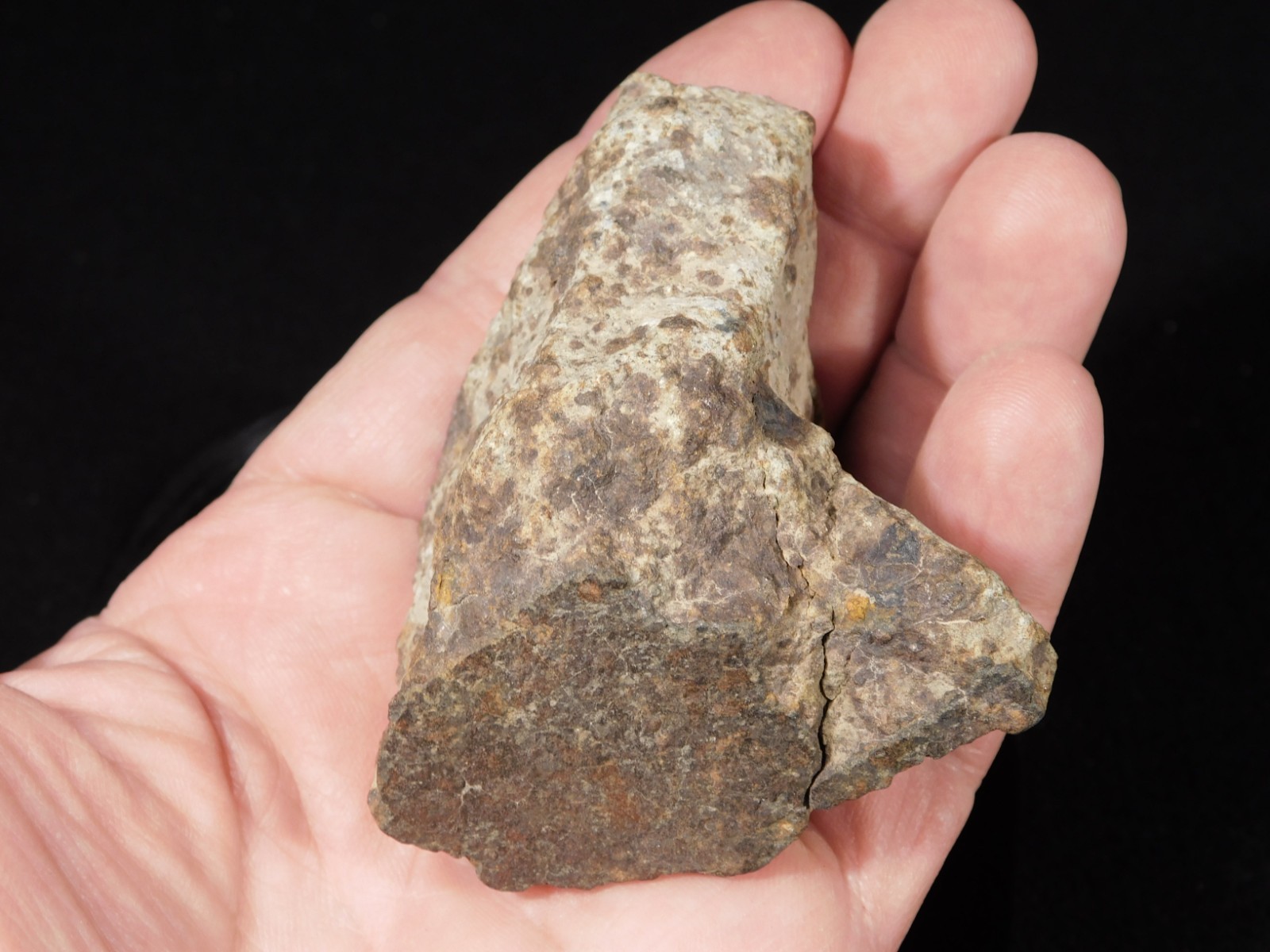 Larger! Classified NWA 8245 METEORITE 100% Natural! Erfoud, Morocco 223gr