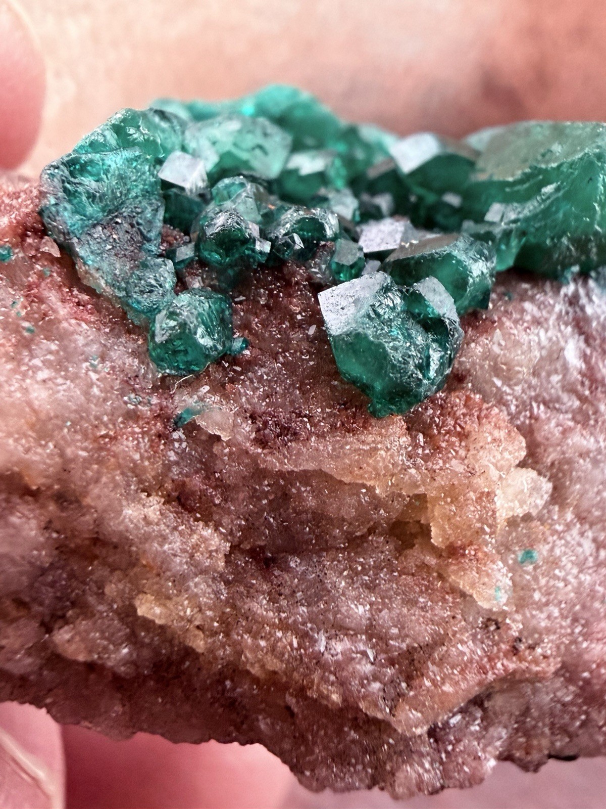 Emerald Green Dioptase Crystal Cluster from the Congo in Africa 22.6 g.