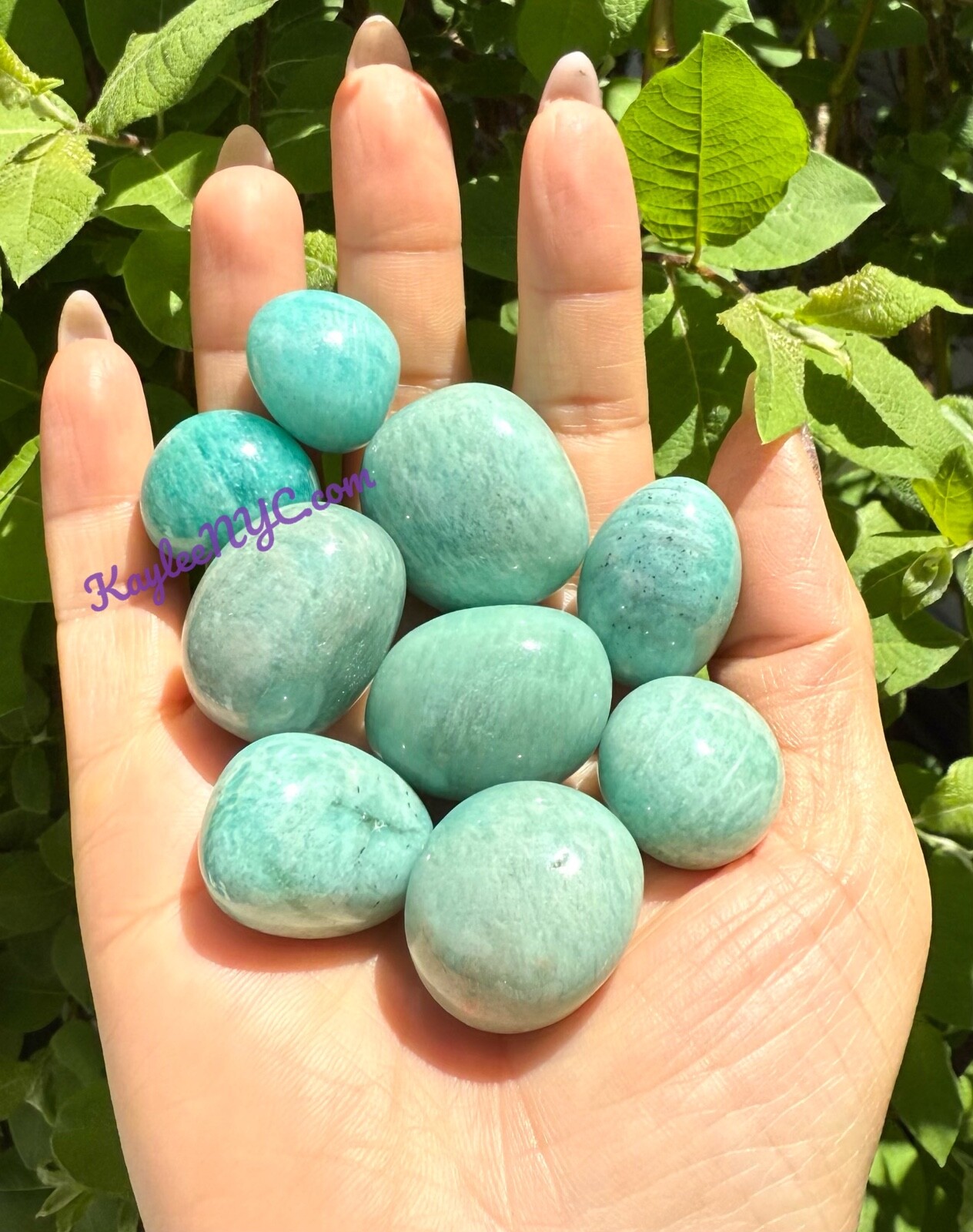 Wholesale Lot 2 Lbs Natural Amazonite Tumble Healing Energy Nice Quality