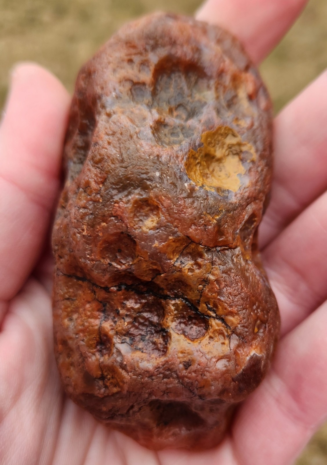 Lake Superior Agate 7.8 Oz Cut Not Polished Pair