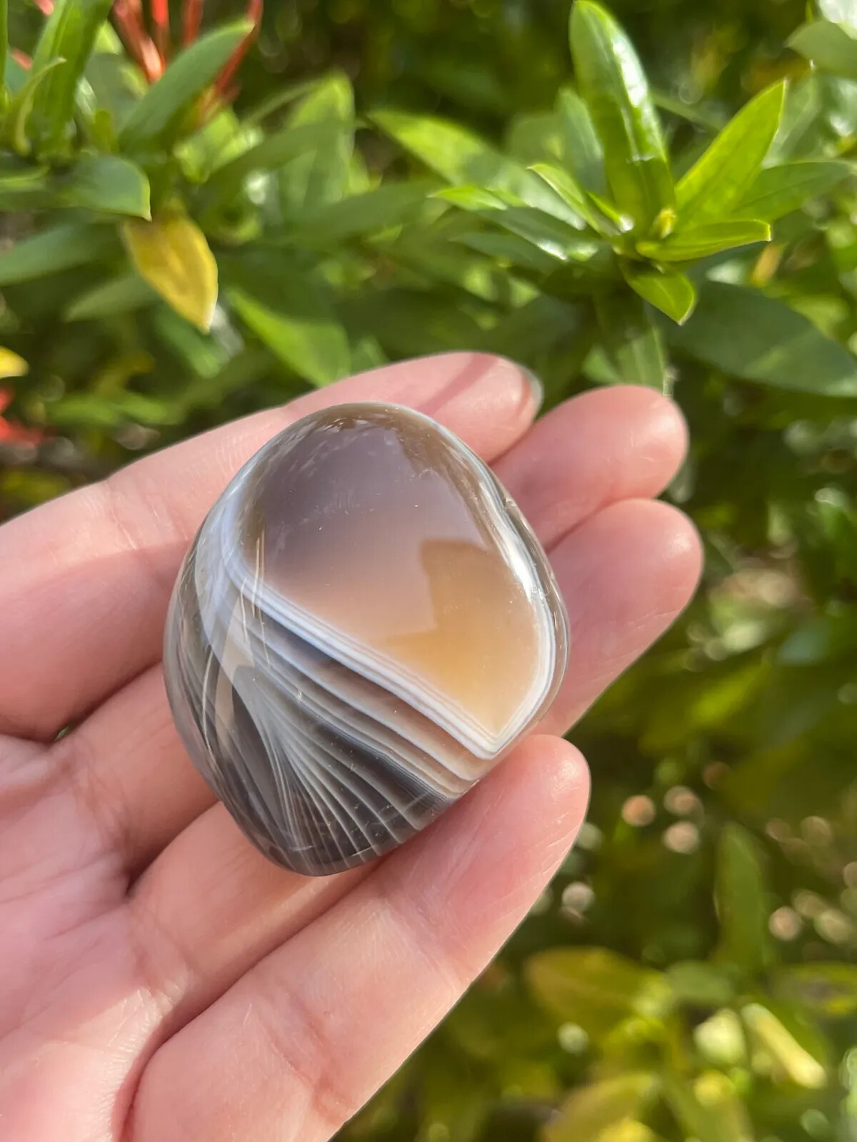 Grade A++ Botswana Agate Pebble, Botswana Agate Palm Stones, Wholesale Bulk Lot
