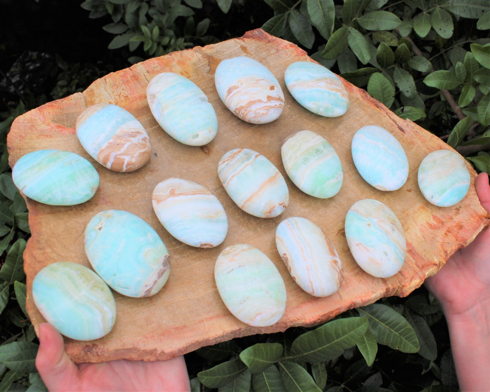 LARGE Caribbean Calcite Palm Stones – Hand Polished Carribean Calcite Crystals