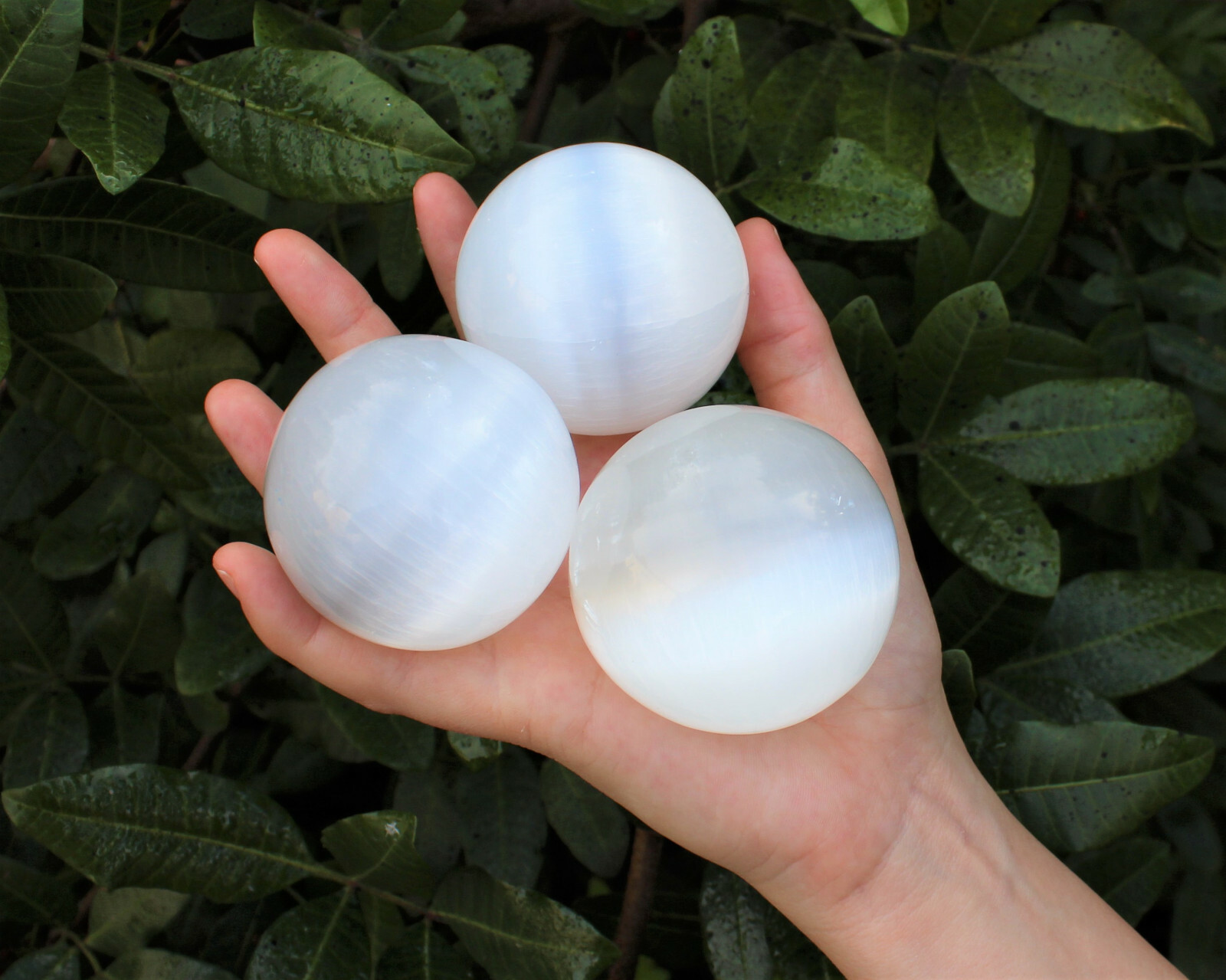 Selenite Crystal Sphere + Stand, LARGE 60 mm (Polished Selenite Crystal Healing)
