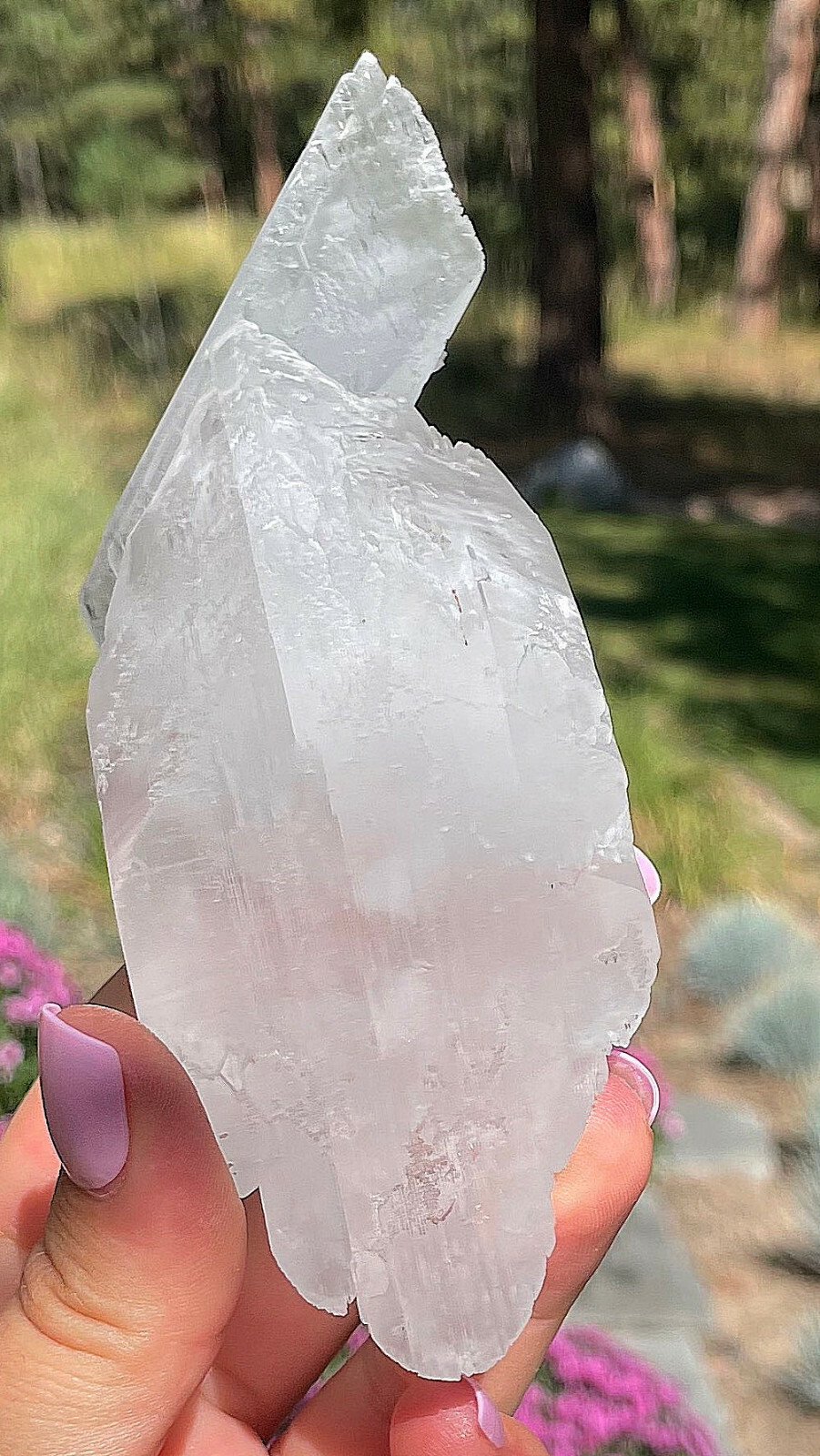 Beautiful Crystallized Gypsum Selenite Super Crystals Old Time Piece 12.5 Cm’s