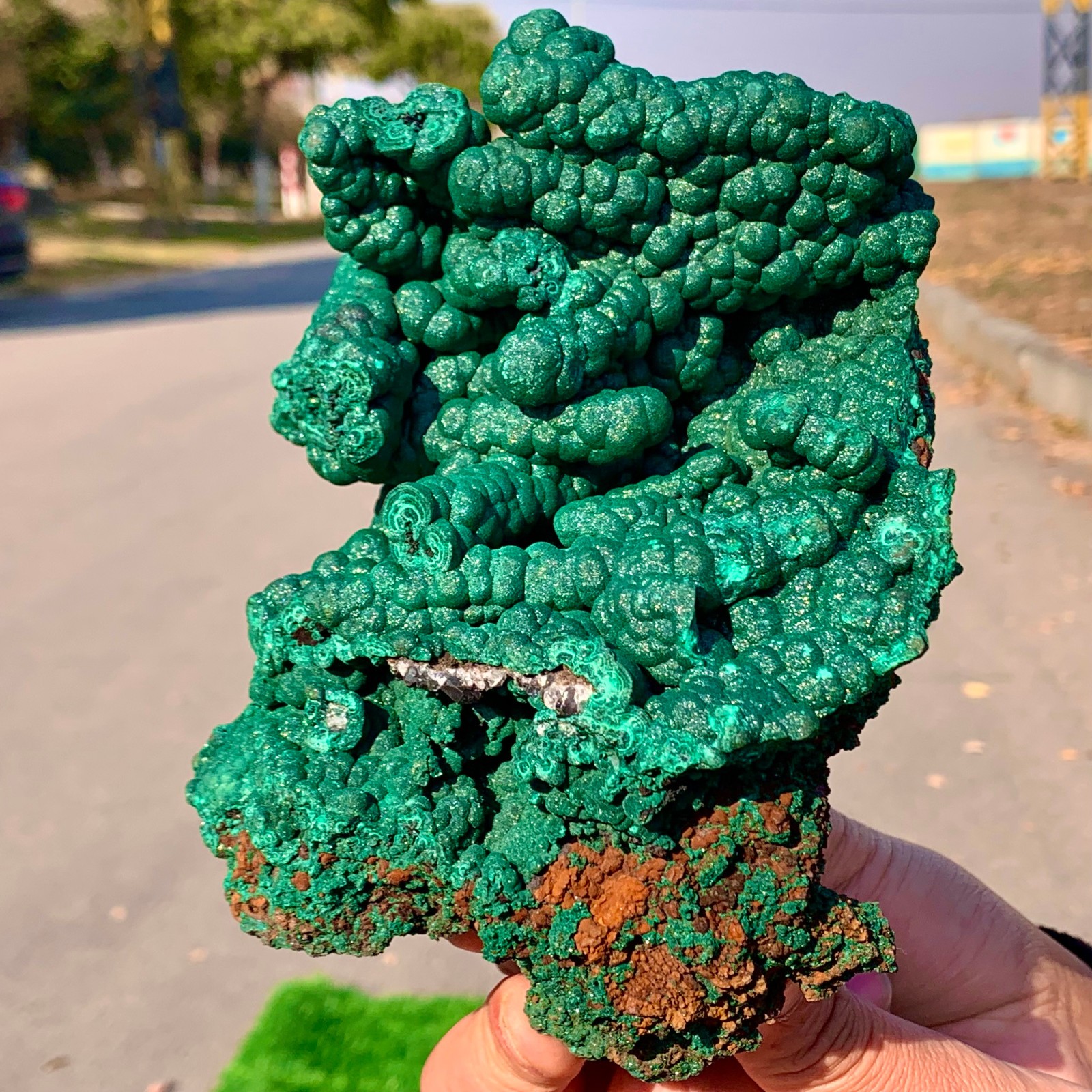 2.2LB Natural VELVET Azurite/Malachite cat’s eye specimen crystal mineral-Congo