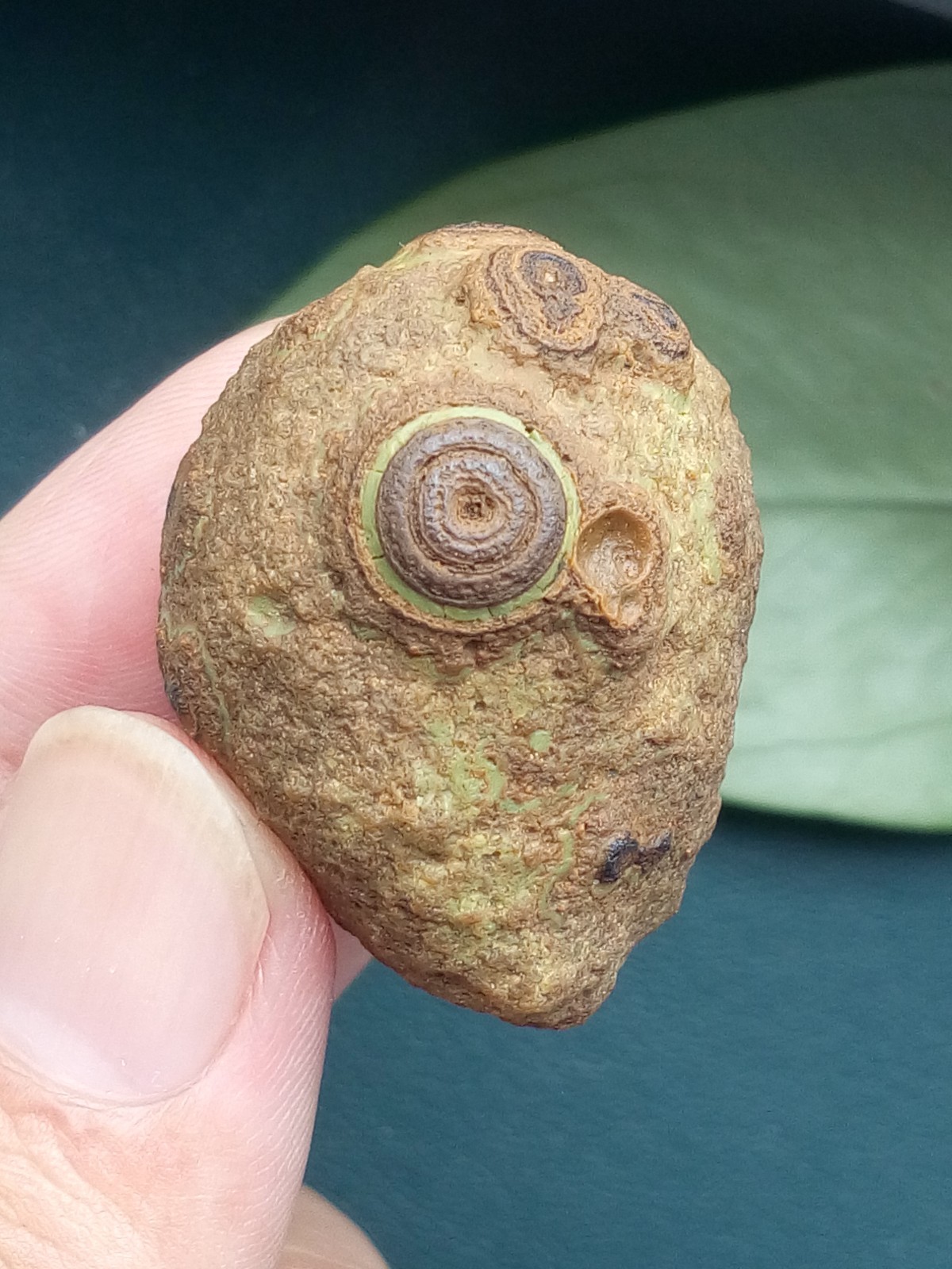 36mm/40g Natural Gobi agate eye agate stone collection