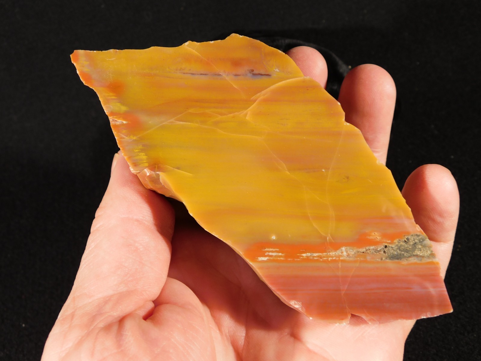 Polished Deep Yellow/RED Petrified RAINBOW WOOD Fossil End Cut Arizona 309gr