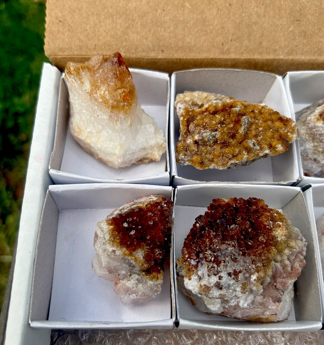 6 pcs CITRINE Quartz CLUSTER Crystal Mineral Point Bulk Flat Lot – BRAZIL