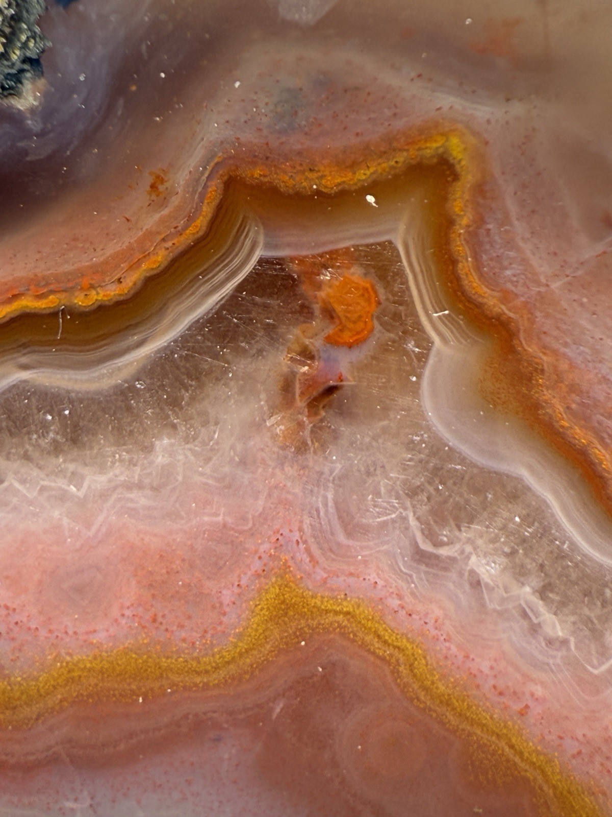SEE VIDEO High-Grade Multicolor Moroccan Agate | High Atlas | Collector Specimen