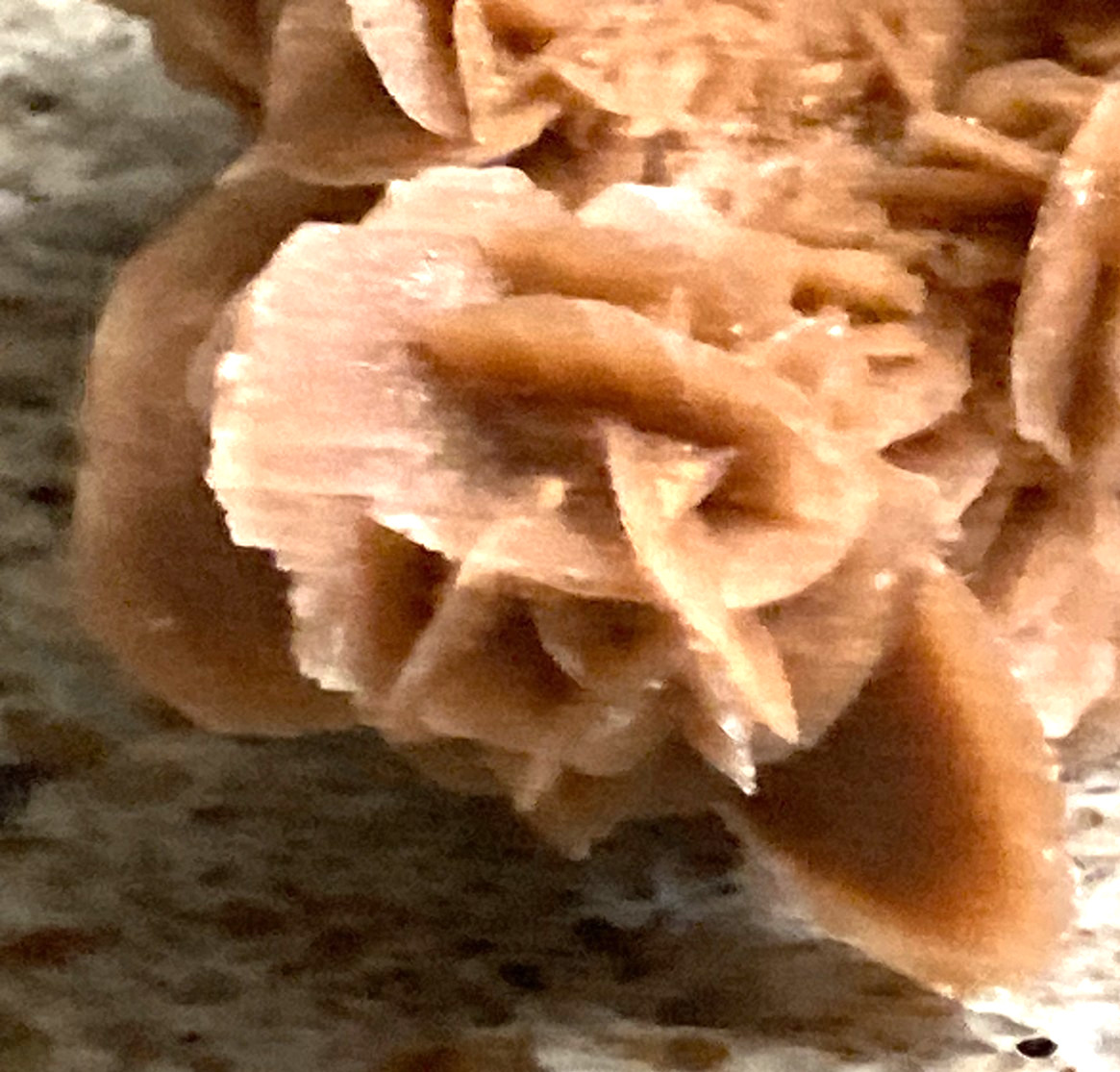 Africa Minerals- Selenite Rose, Celestite, Vanadinite